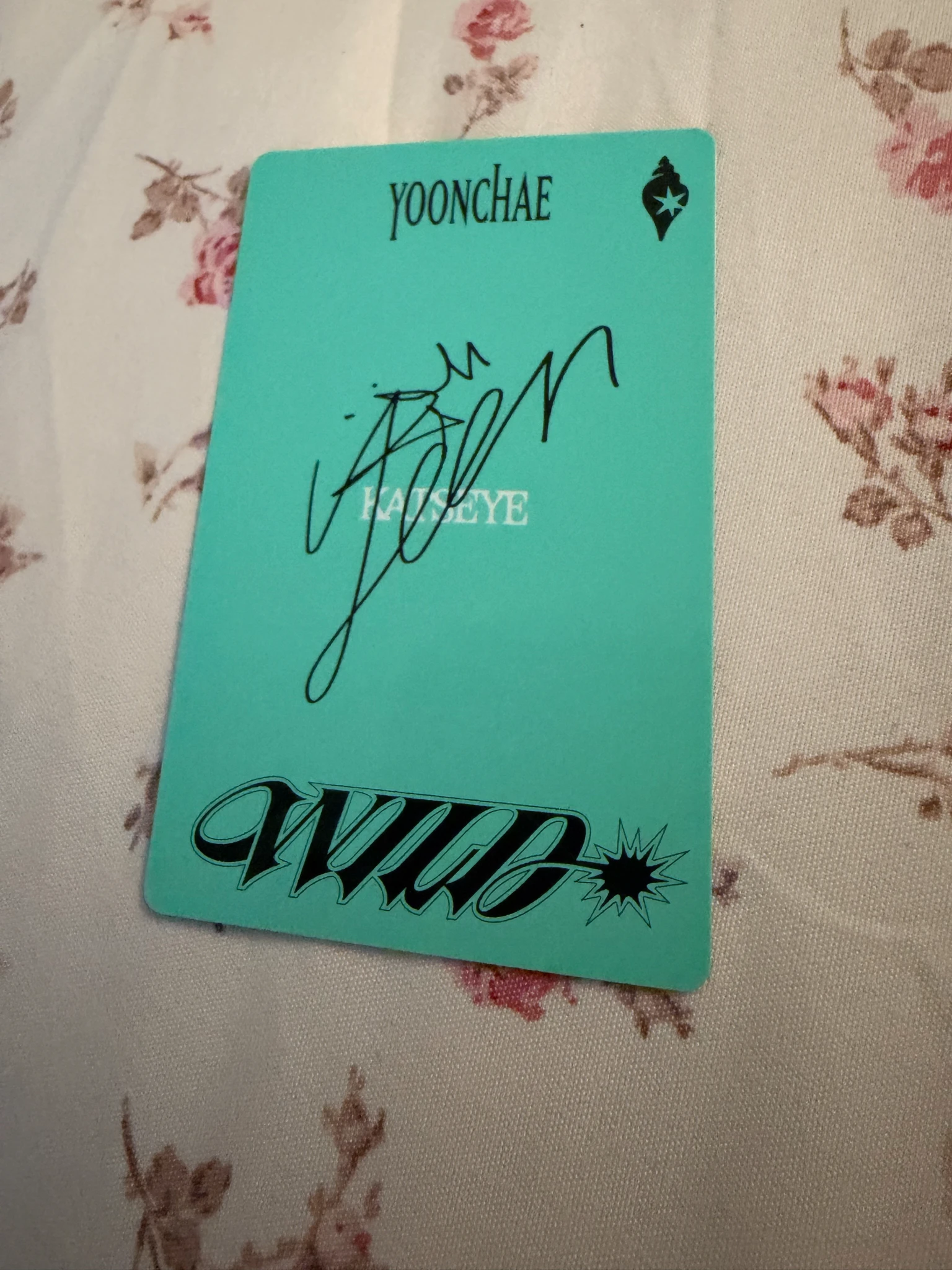 KATSEYE Yoonchae KATSEYE - Yoonchae - WILD Album album photocard wild world version standard version listing photo 2