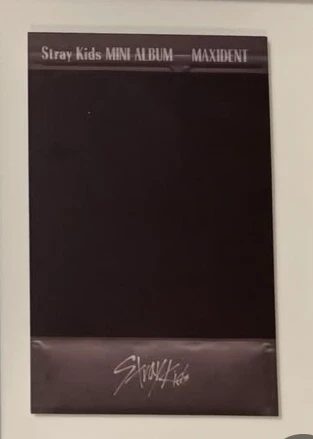 Stray Kids Lee Know Stray Kids - Lee Know - Maxident Album pre-order benefit polaroid listing photo 2