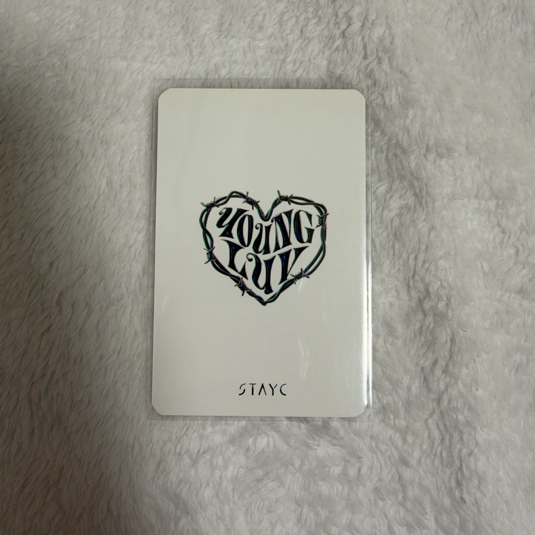 STAYC STAYC - YOUNG-LUV.COM Album merch photocard photocard set horizontal listing photo 2