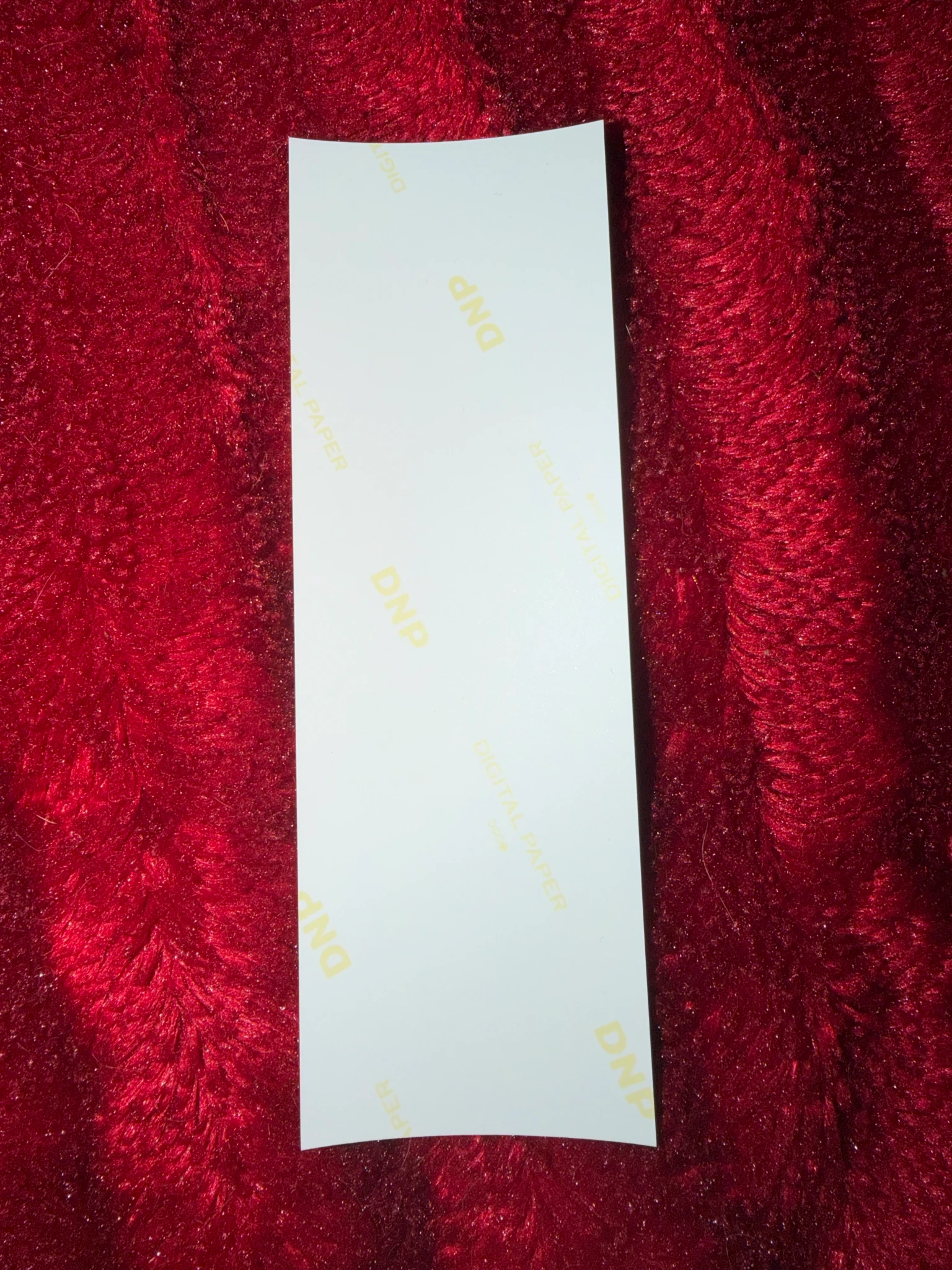 ONEUS Leedo ONEUS - Leedo - First Light : 井 Album photoism listing photo 2