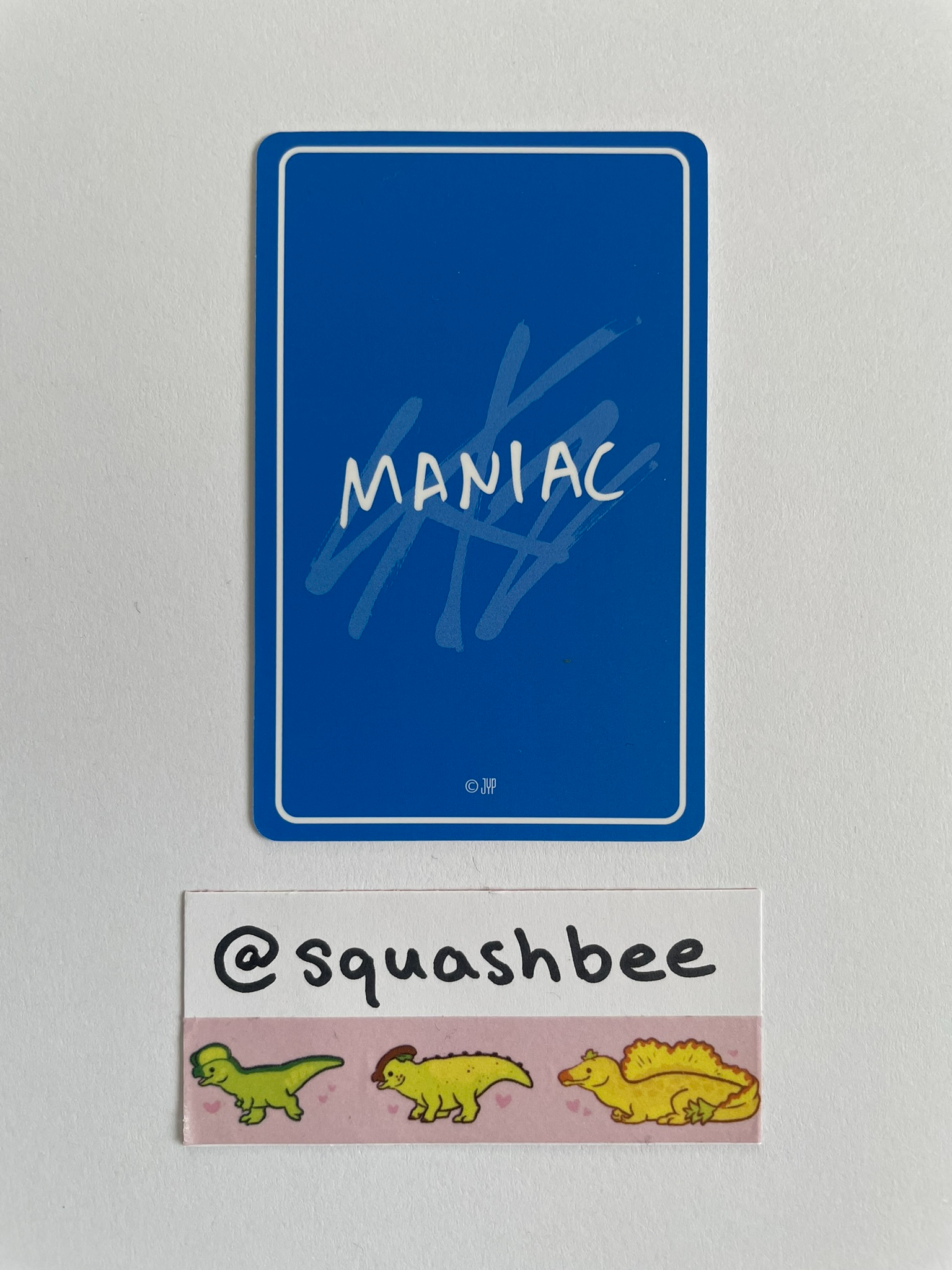 Stray Kids Changbin Stray Kids - Changbin - Maniac World Tour Event merch photocard polaroid set polaroid B version japan listing photo 2