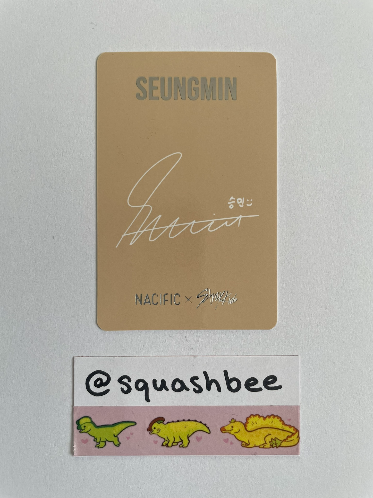 Stray Kids Seungmin Stray Kids - Seungmin - NACIFIC  x Stray Kids Other event nacific round 9 listing photo 2