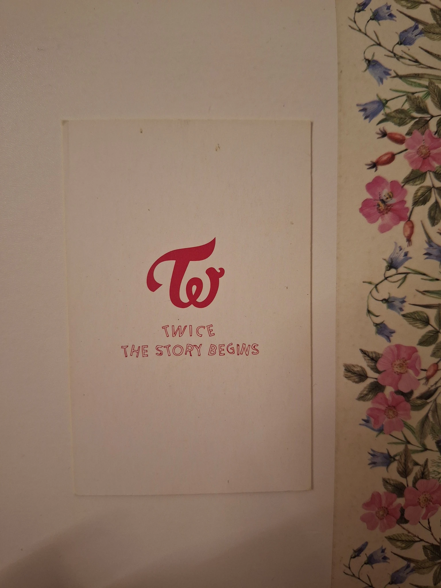 TWICE TWICE - Jihyo & Momo & Chaeyoung - The Story Begins Album album photocard taiwan press listing photo 2
