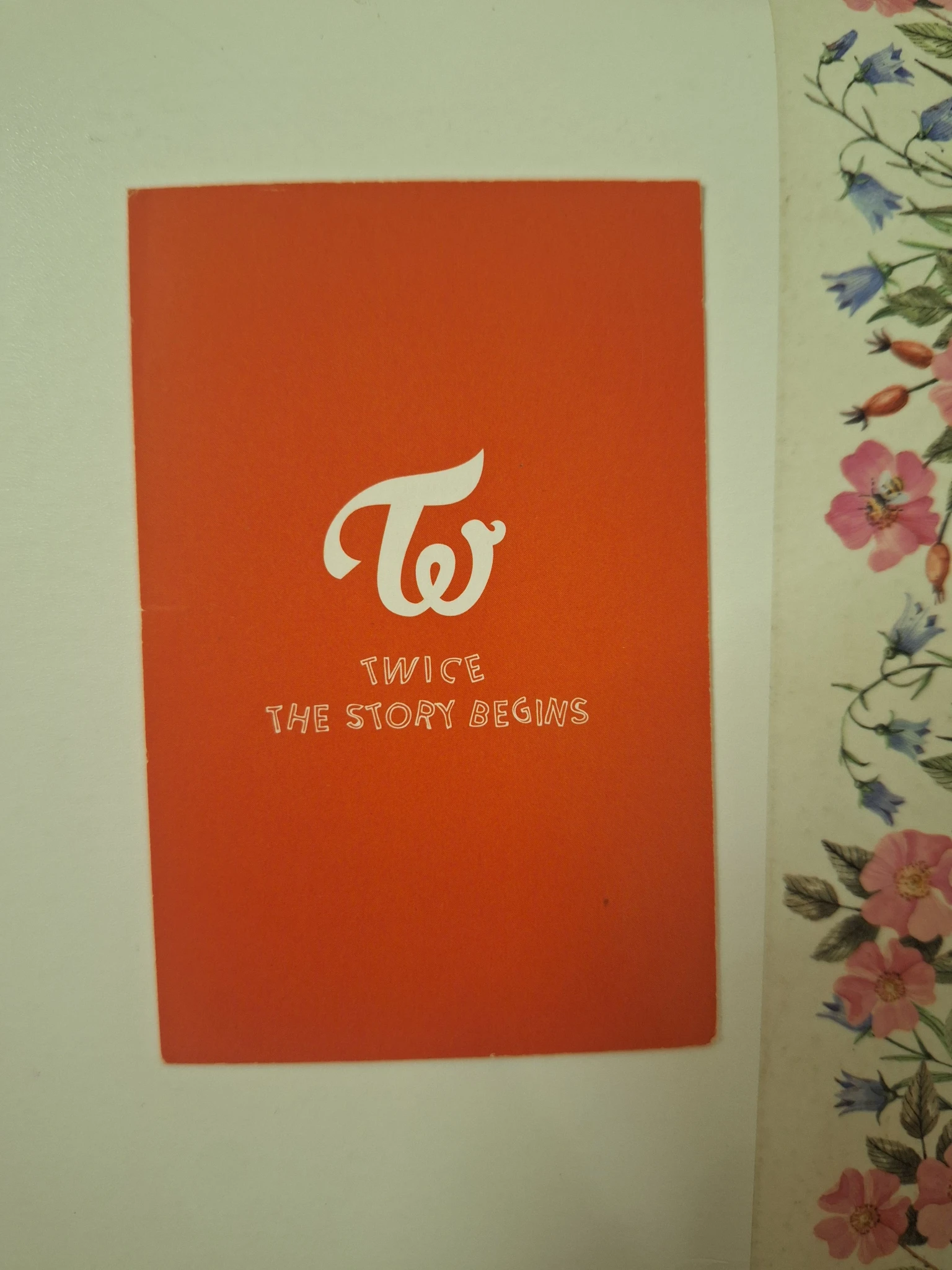 TWICE Chaeyoung TWICE - Chaeyoung - The Story Begins Album album photocard taiwan press sweet9_venus listing photo 2
