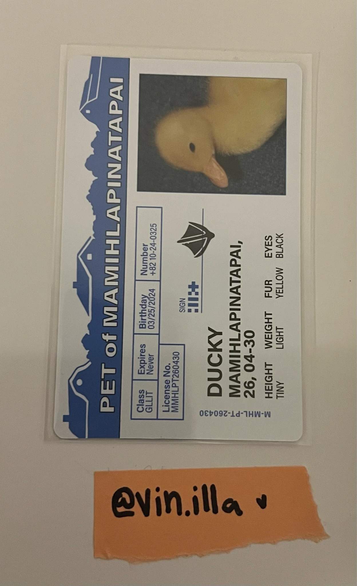 ILLIT Minju ILLIT - Minju - MAMIHLAPINATAPAI Album paw paw version listing photo 2