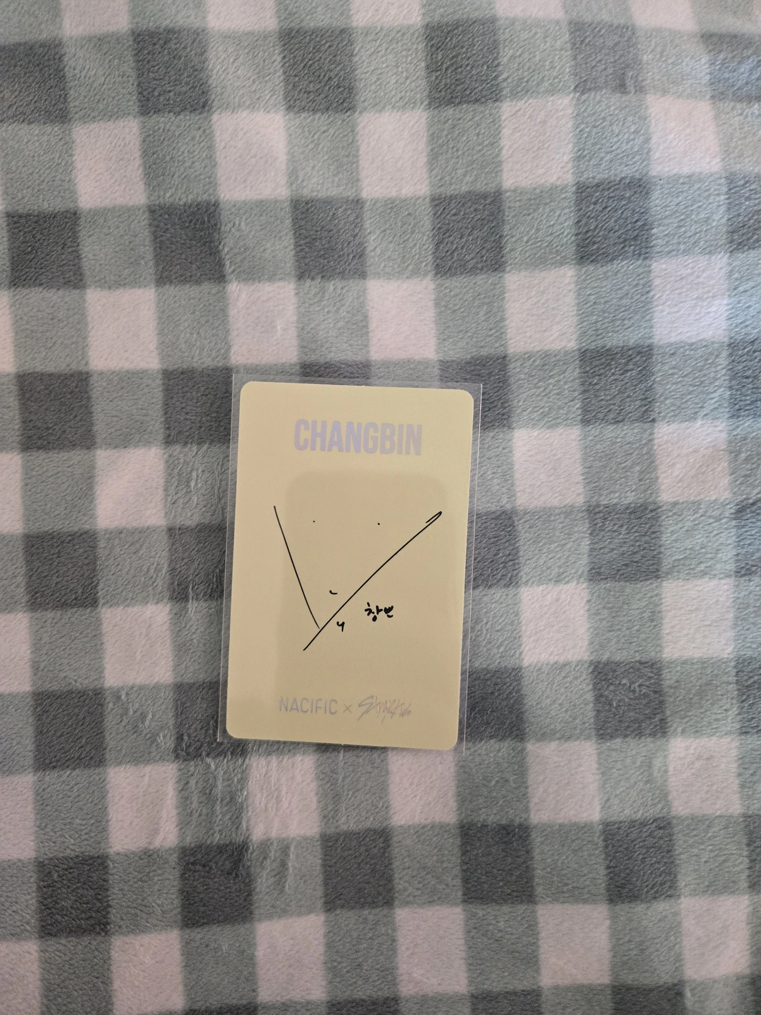 Stray Kids Changbin Stray Kids - Changbin - NACIFIC  x Stray Kids Other holographic (hologram) round 2 nacific brand collaboration listing photo 2