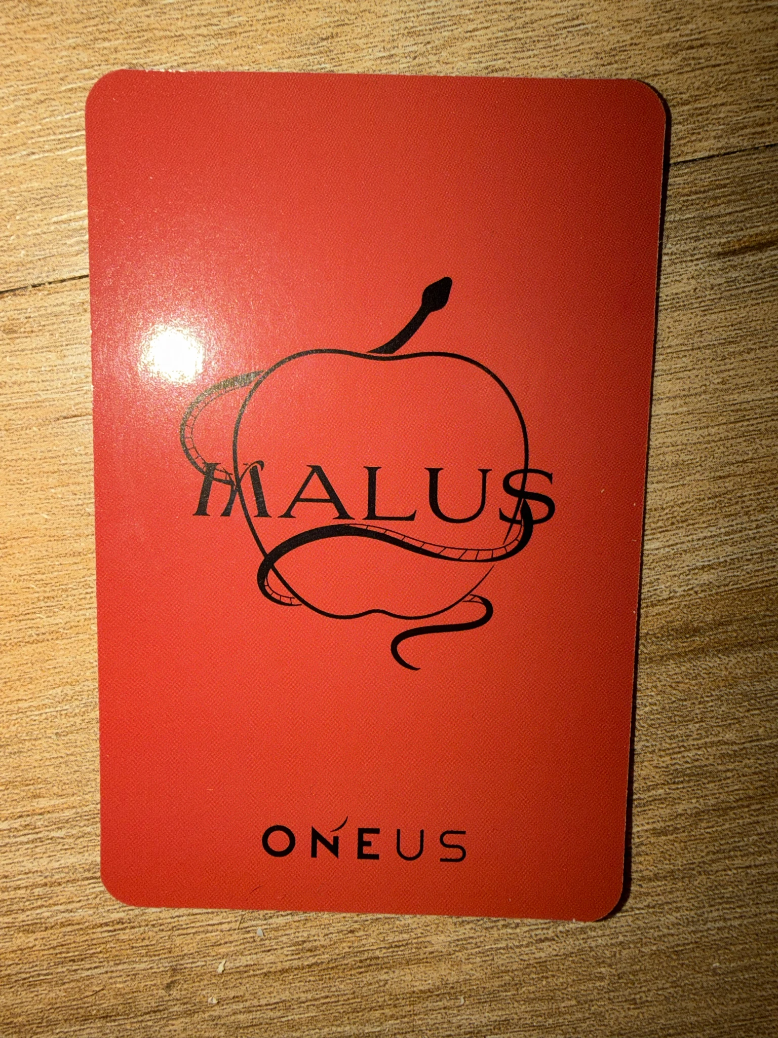ONEUS Keonhee ONEUS - Keonhee - MALUS Album ONEUS Keonhee listing photo 2