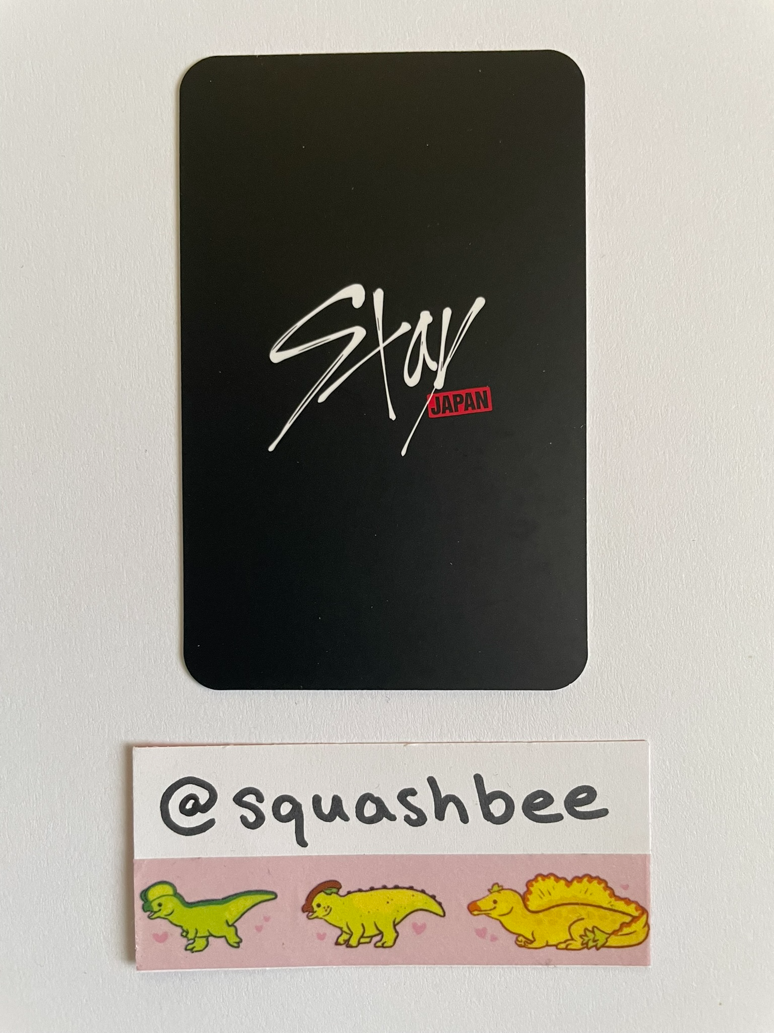Stray Kids Changbin Stray Kids - Changbin - STAY JAPAN Membership Other tin case 2025 version membership renewal benefit listing photo 2