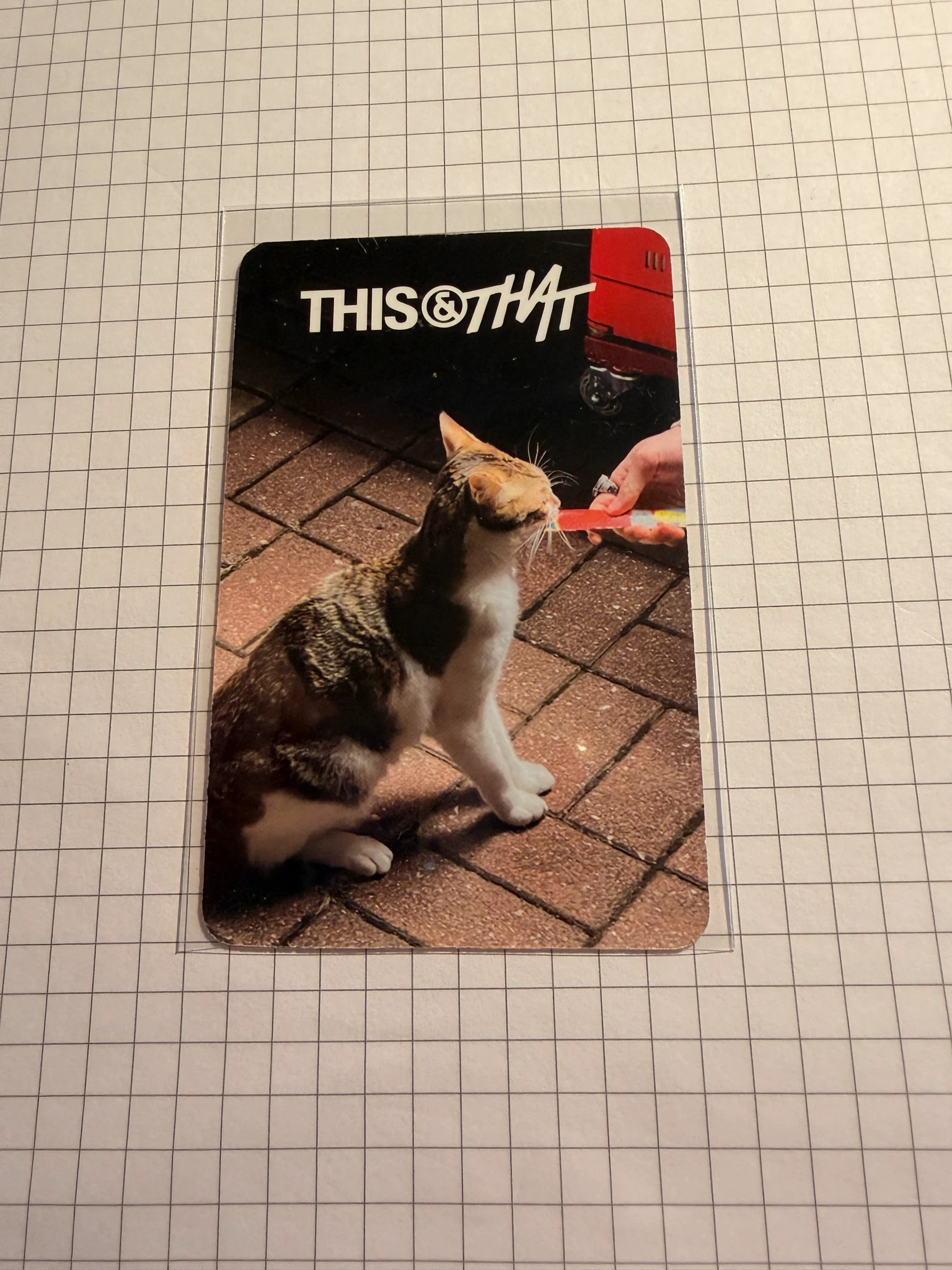 Stray Kids I.N Stray Kids - I.N - This & That Album that version album photocard listing photo 2