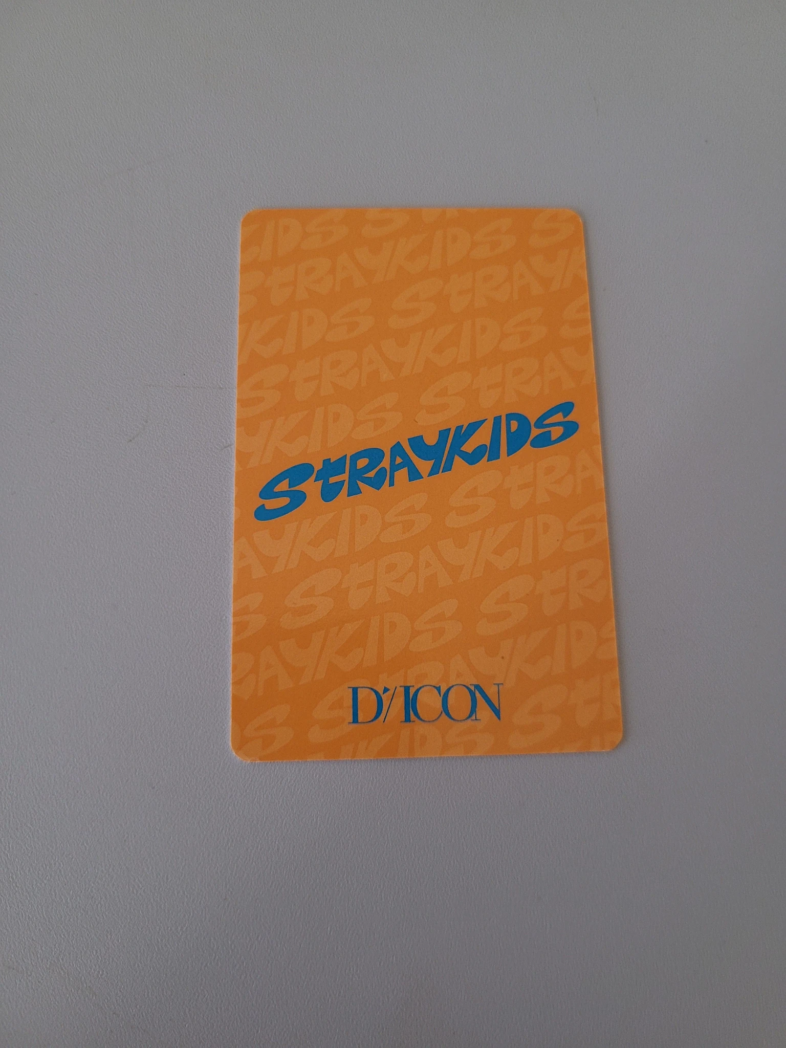 Stray Kids Stray Kids - Other dicon mini photobook version listing photo 2