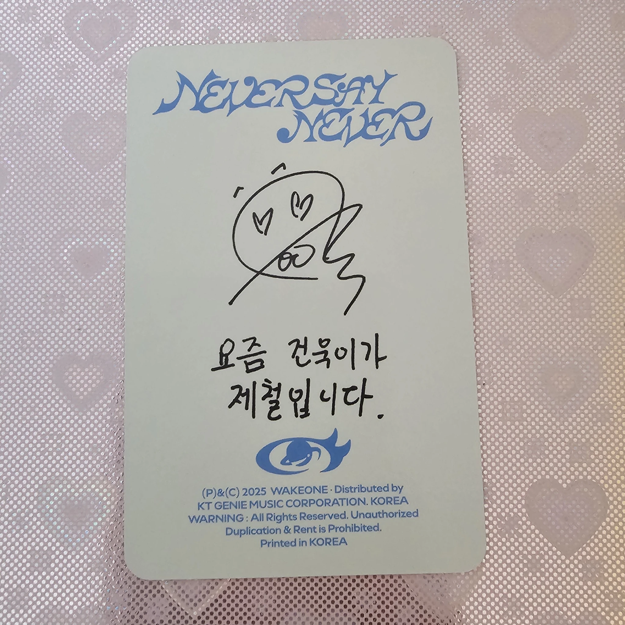 ZEROBASEONE Gunwook ZEROBASEONE - Gunwook - NEVER SAY NEVER Album album photocard ordinary version A version listing photo 2