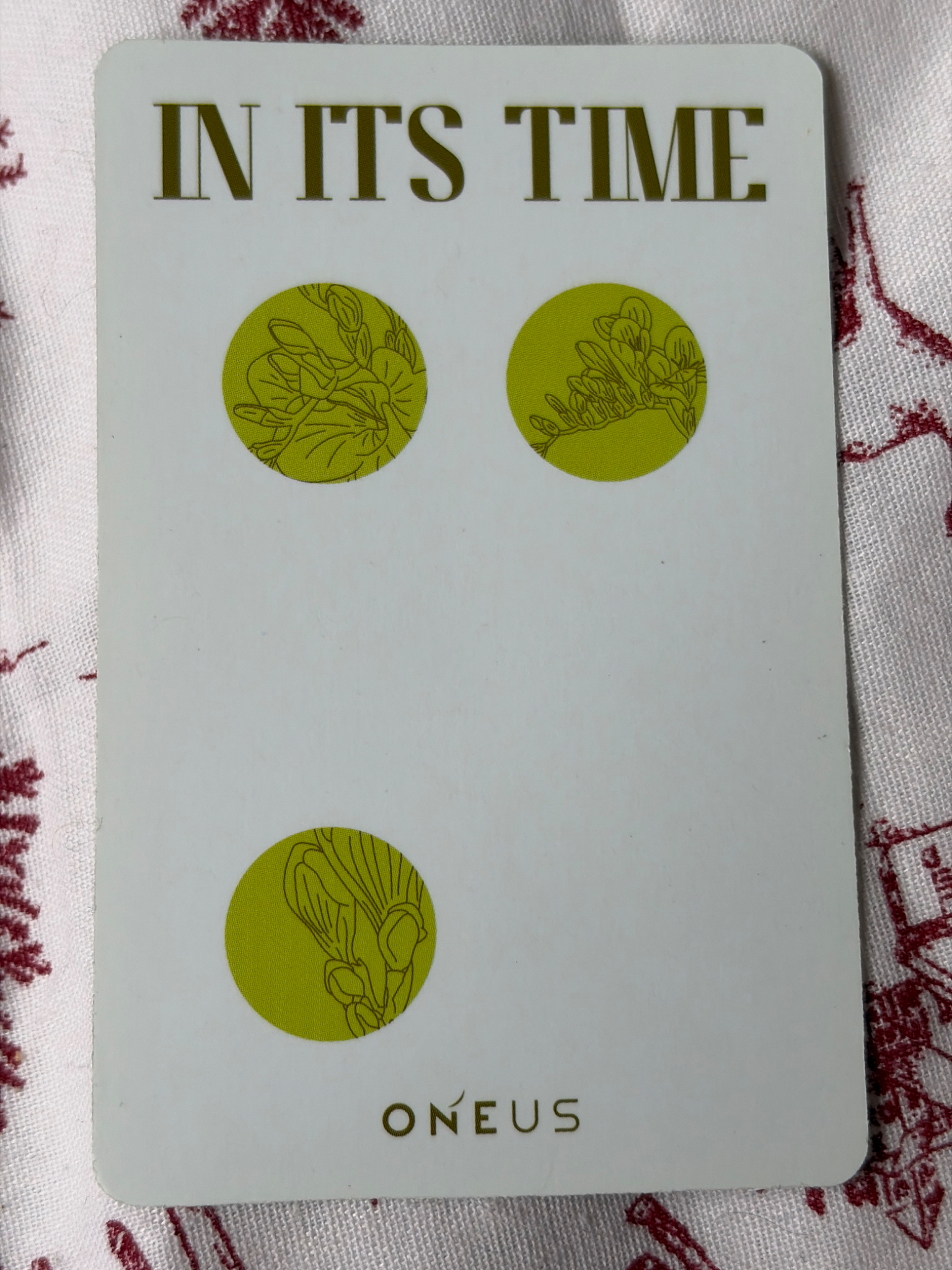 ONEUS Leedo ONEUS - Leedo - IN ITS TIME Album album photocard listing photo 2
