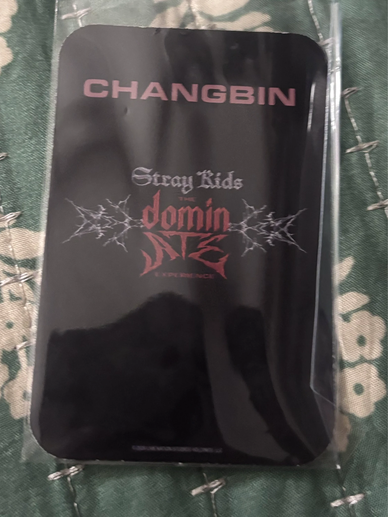 Stray Kids Changbin Stray Kids - Changbin - Stray Kids : The dominATE Experience Event photocard set listing photo 2
