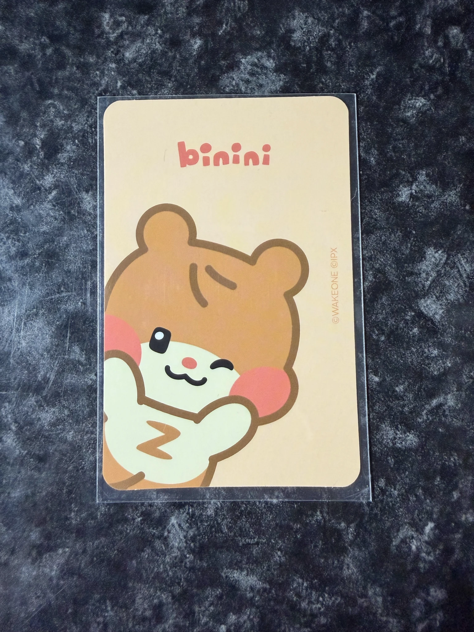 ZEROBASEONE Hanbin ZEROBASEONE - Hanbin - ZB1 x LINE FRIENDS Other merch inclusion photocard holder listing photo 2