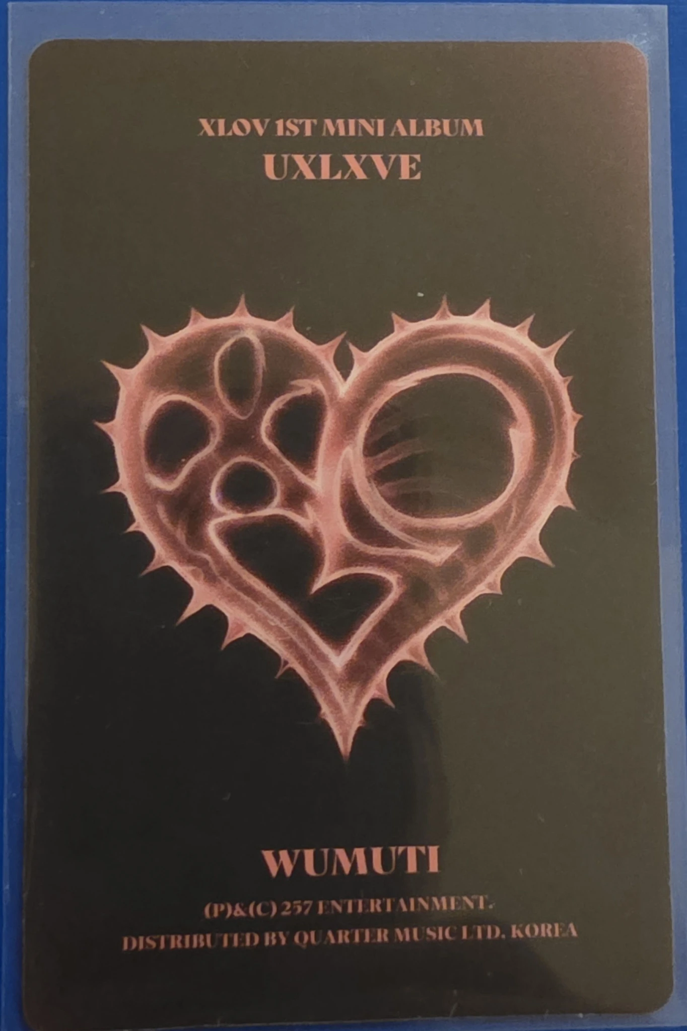 XLOV Wumuti XLOV - Wumuti - UXLXVE Album album photocard O version listing photo 2