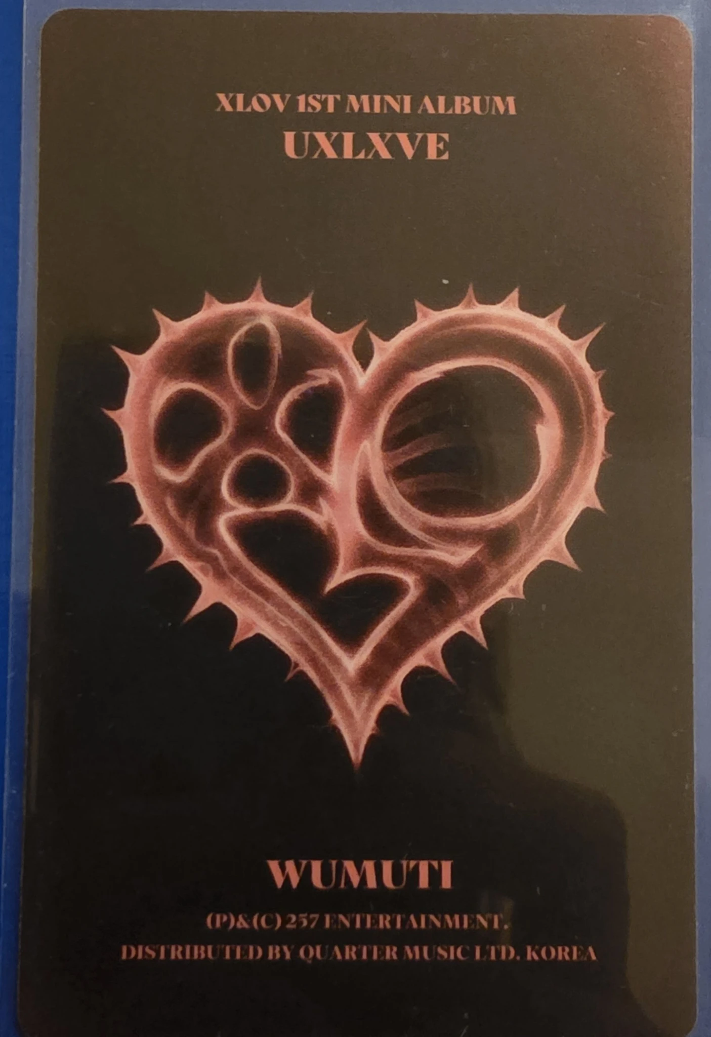 XLOV Wumuti XLOV - Wumuti - UXLXVE Album album photocard O version listing photo 2