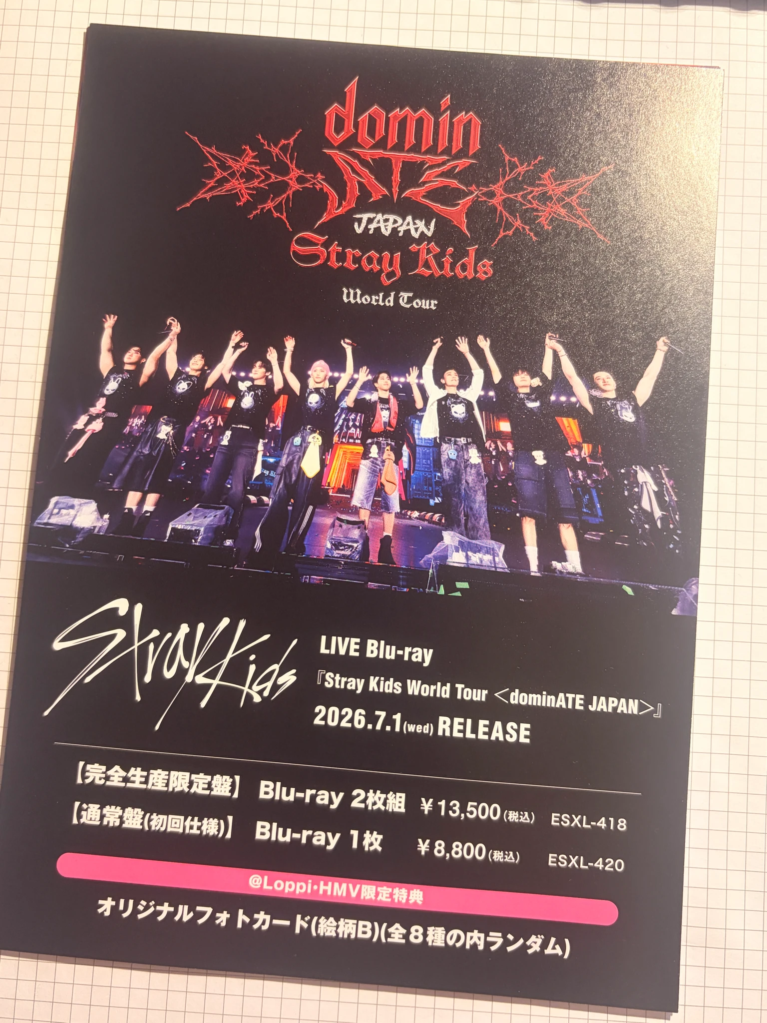 Stray Kids Changbin Stray Kids - Changbin - World Tour <dominATE JAPAN> LIVE Blu-ray Other purchase benefit hmv flyer supplemental listing photo 2