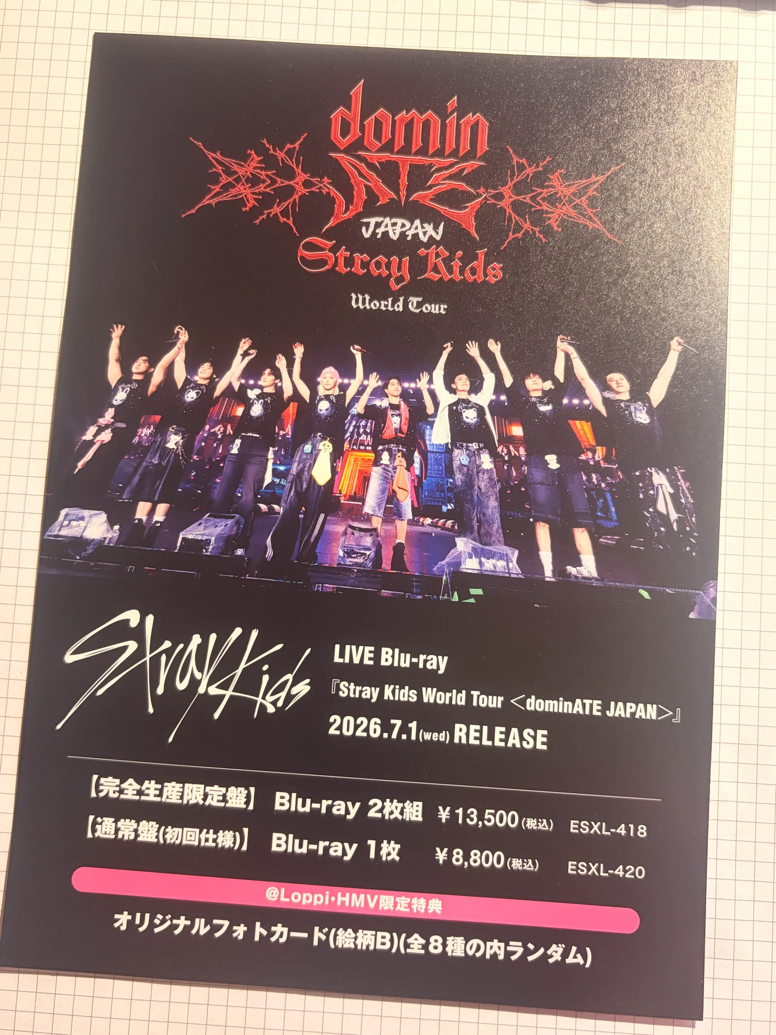 Stray Kids Seungmin Stray Kids - Seungmin - World Tour <dominATE JAPAN> LIVE Blu-ray Other purchase benefit hmv flyer supplemental listing photo 2