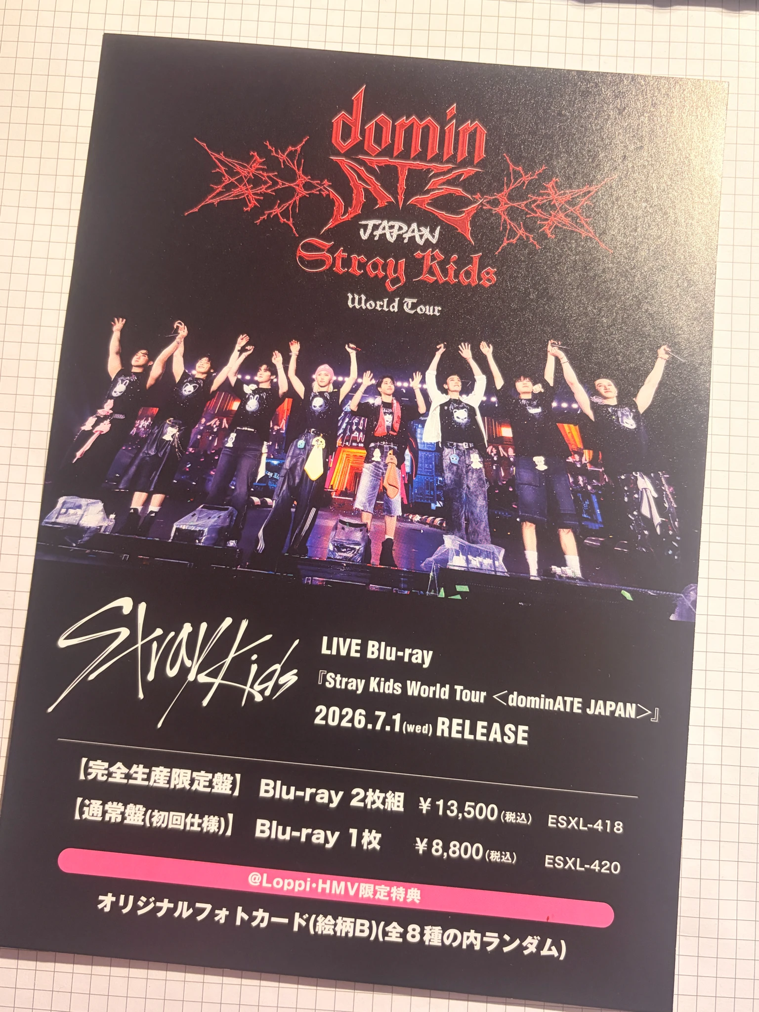 Stray Kids I.N Stray Kids - I.N - World Tour <dominATE JAPAN> LIVE Blu-ray Other purchase benefit hmv flyer supplemental listing photo 2