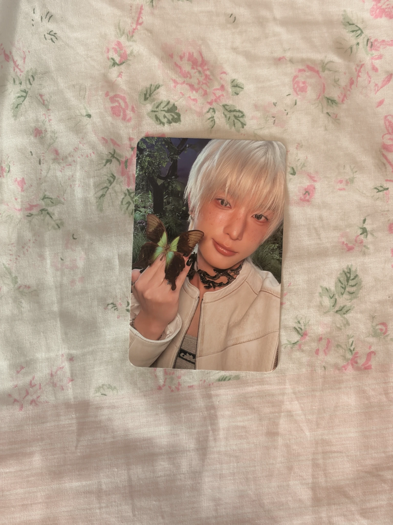 &TEAM Harua  &TEAM - Harua  - Back to Life  Album album photocard roar version B version listing photo 2