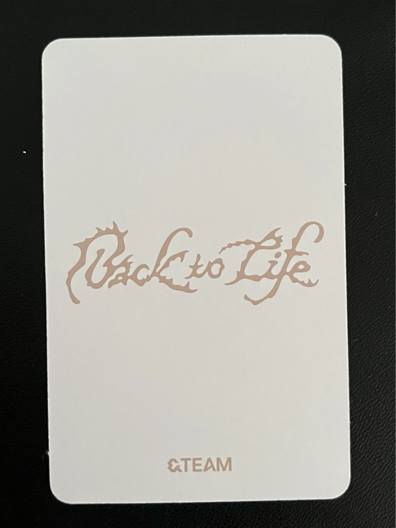 &TEAM EJ &TEAM - EJ - Back to Life  Album album photocard mini CD-R version listing photo 2