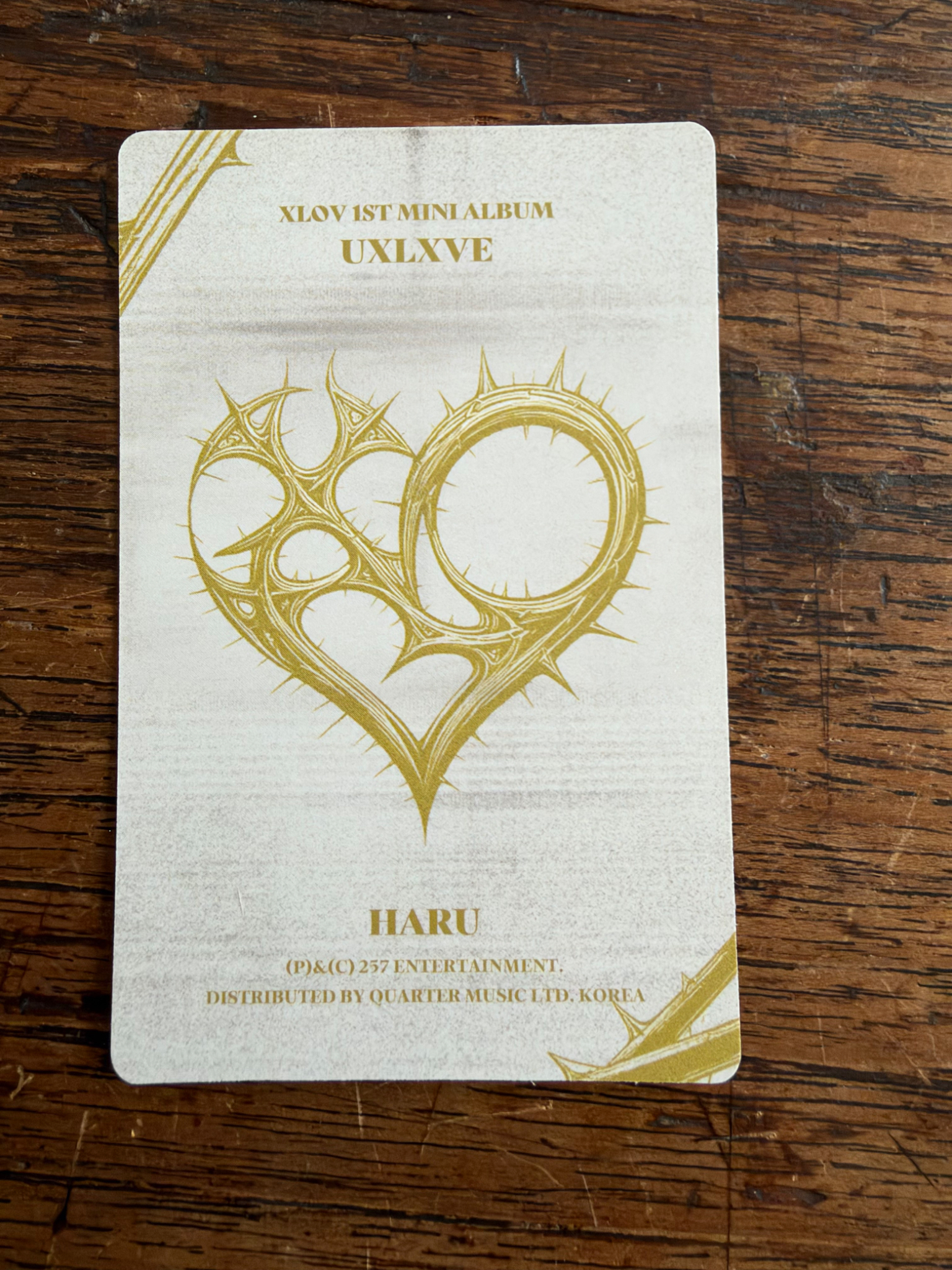 XLOV Haru XLOV - Haru - UXLXVE Album album photocard N version listing photo 2