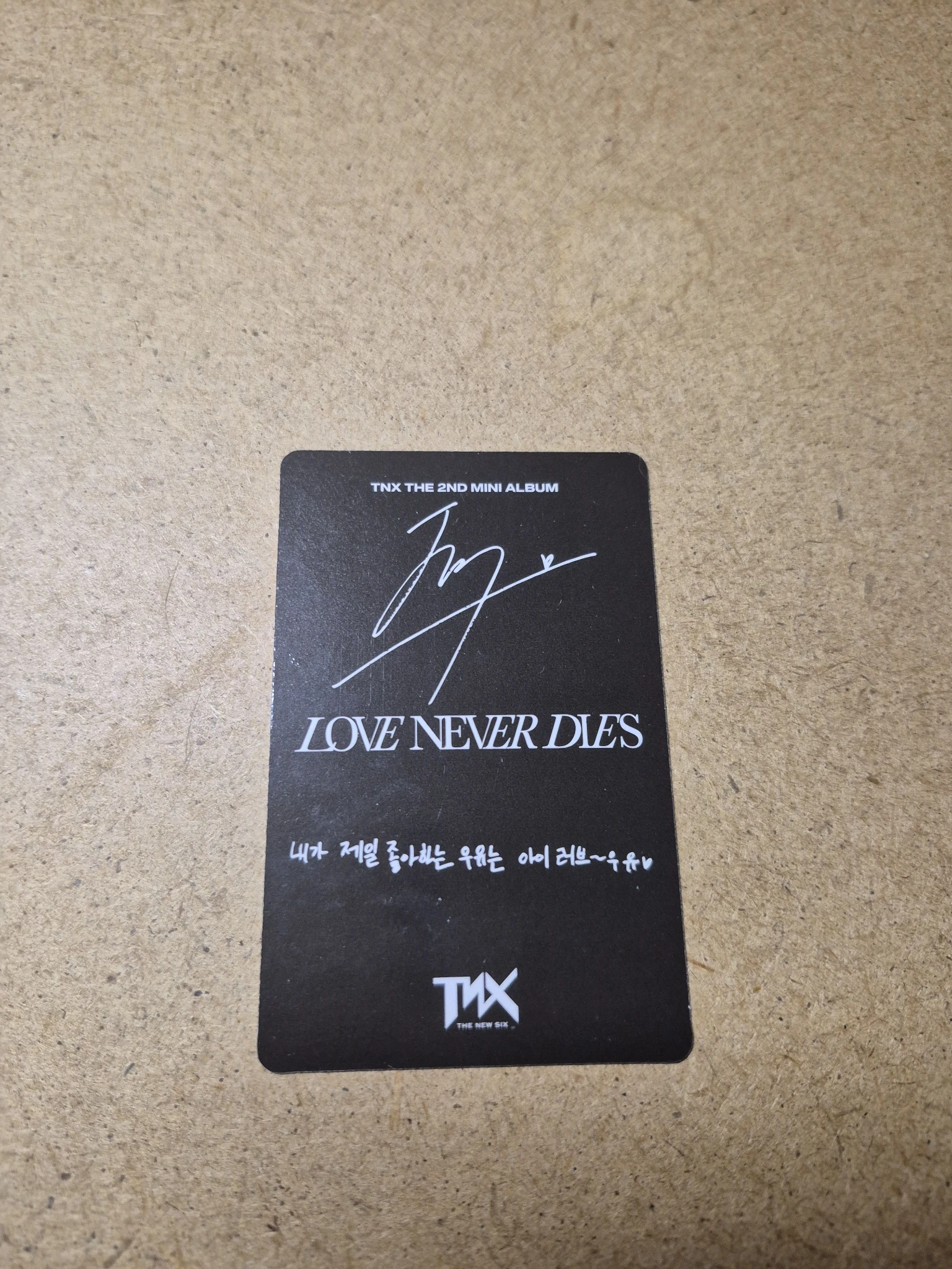 TNX Sungjun TNX - Sungjun - LOVE NEVER DIES Album album photocard record version listing photo 2