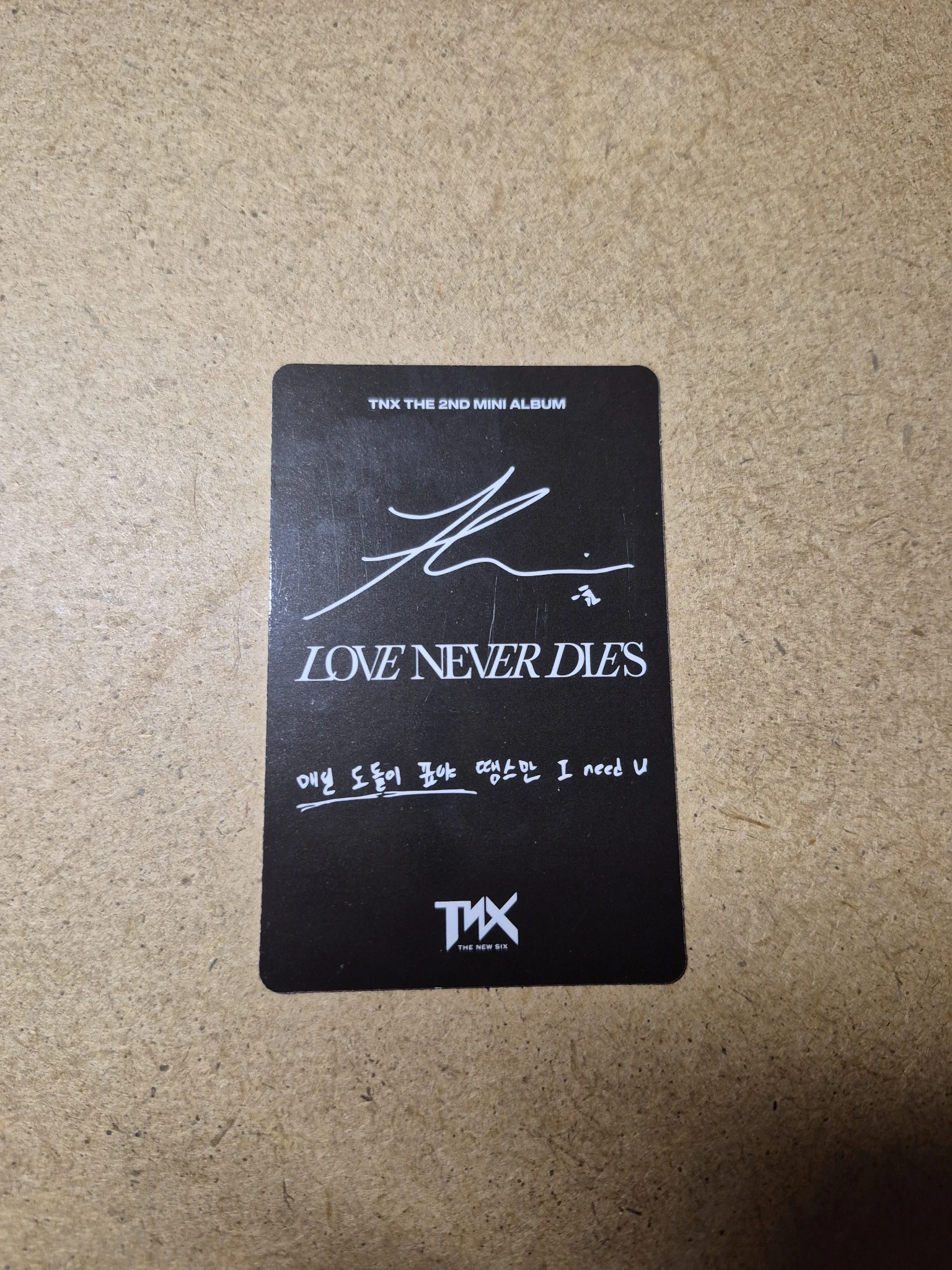 TNX Hwi TNX - Hwi - LOVE NEVER DIES Album album photocard record version listing photo 2
