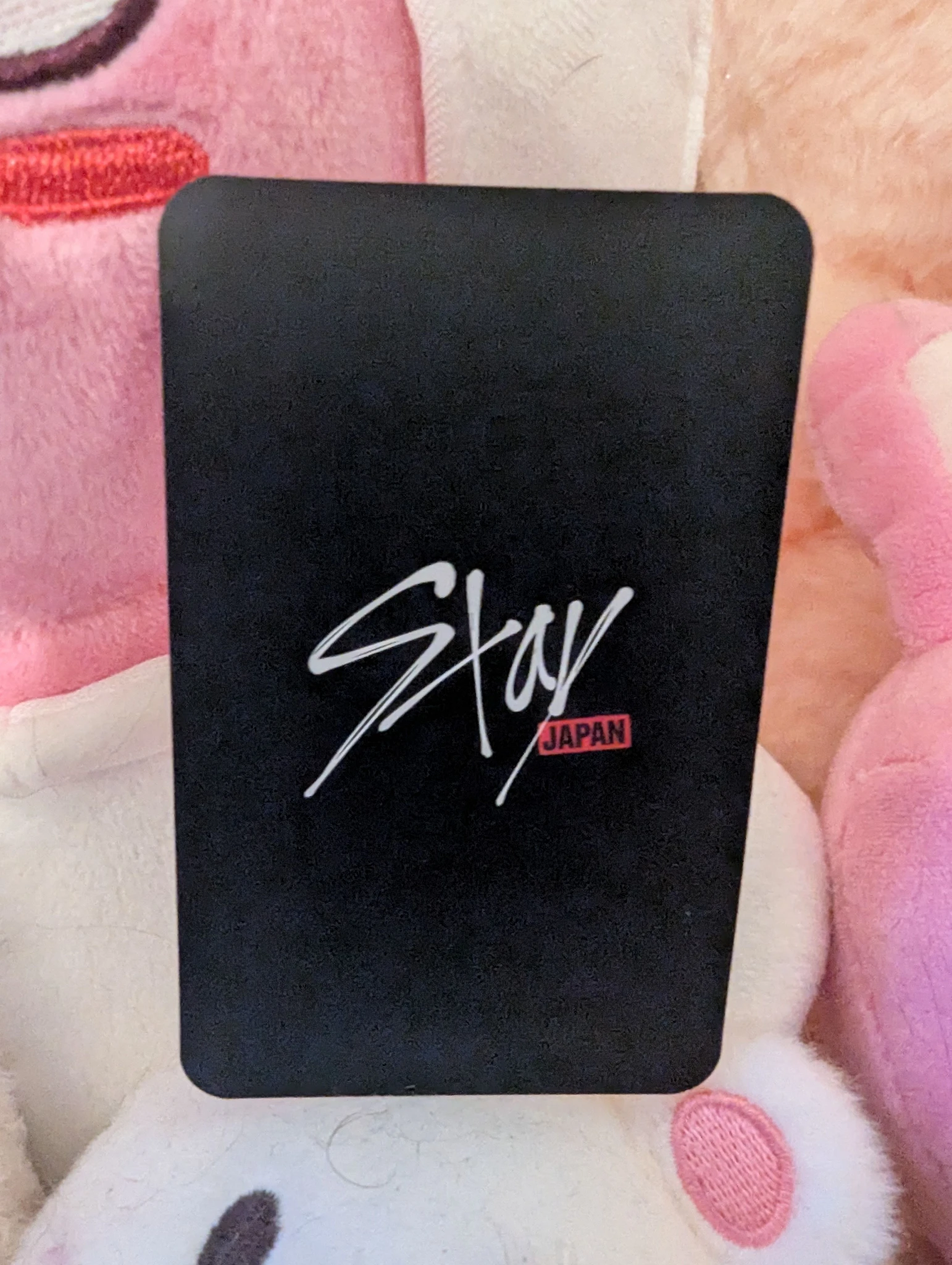 Stray Kids Felix Stray Kids - Felix - STAY JAPAN Membership Other tin case 2025 version membership renewal benefit listing photo 2