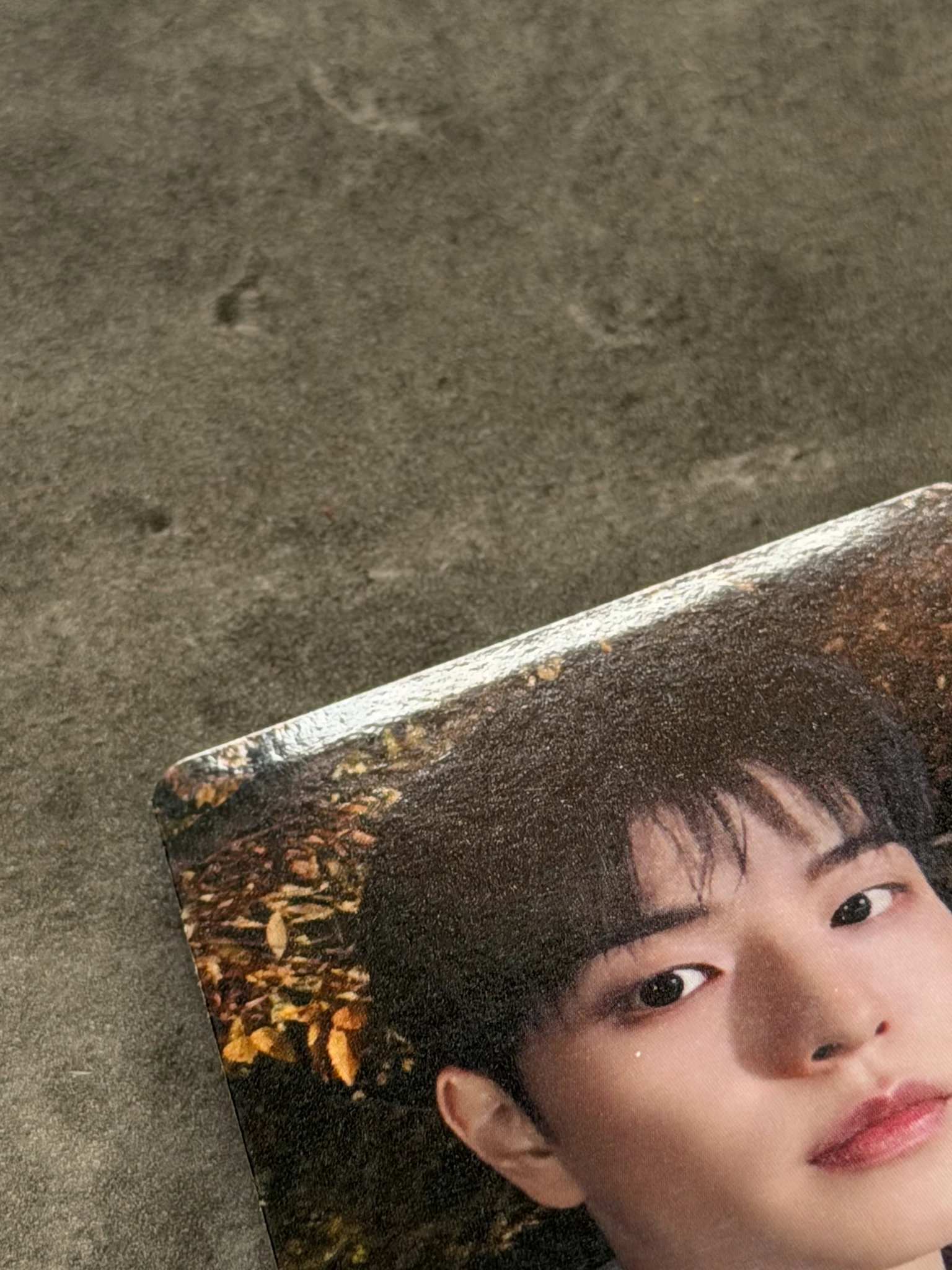 Stray Kids Seungmin Stray Kids - Seungmin - HOP Album JYP Shop Nemo Pre-order benefit listing photo 2