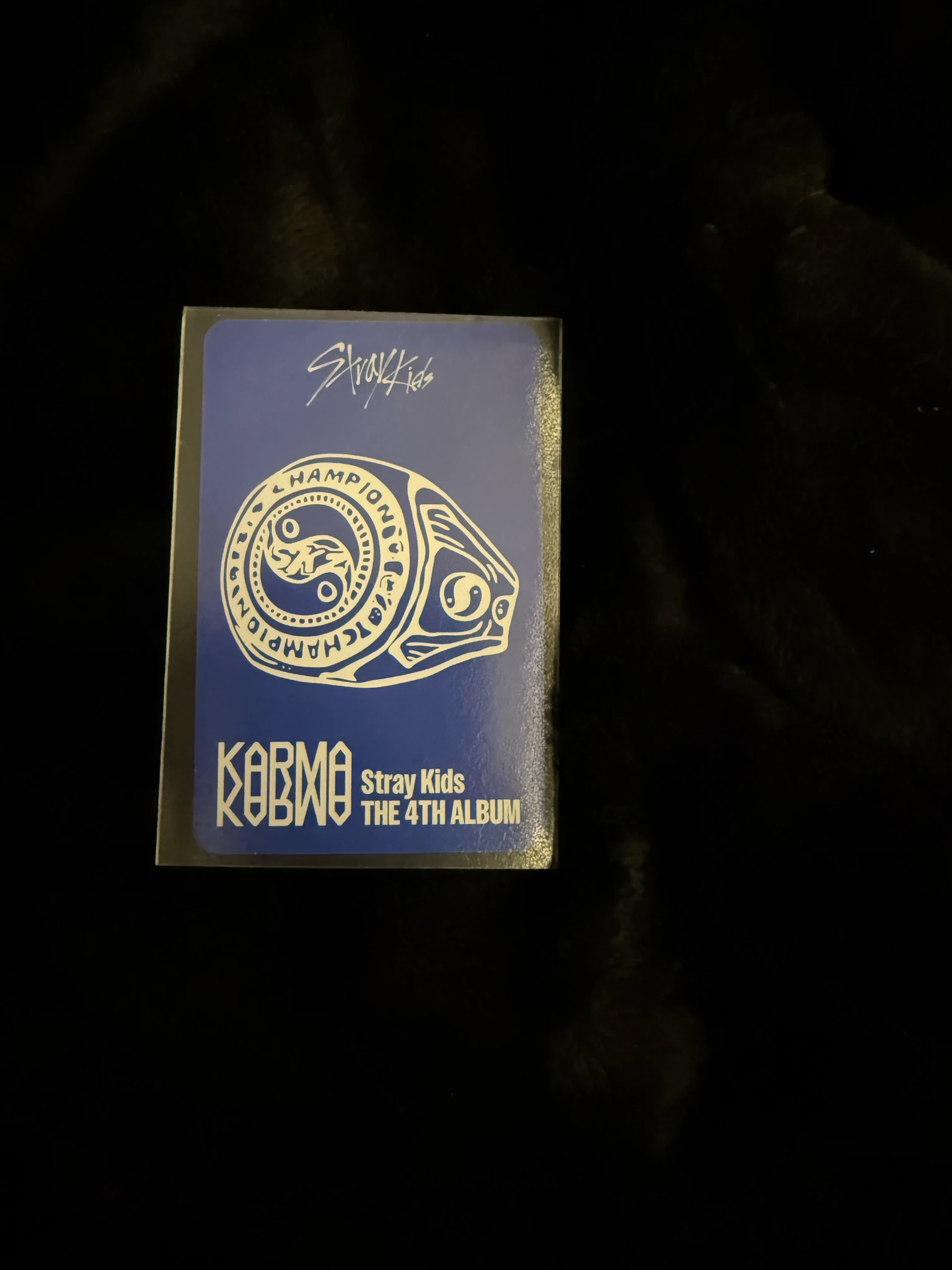 Stray Kids Seungmin Stray Kids - Seungmin - KARMA Album accordion version album photocard first press only listing photo 2