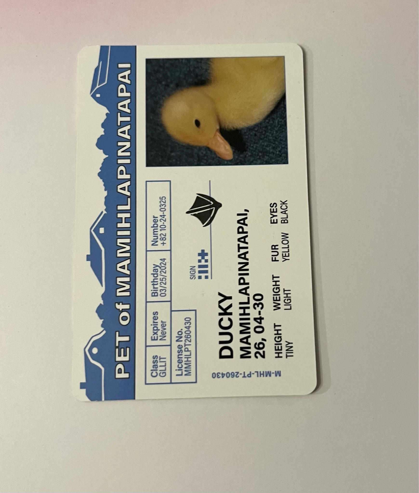 ILLIT Minju ILLIT - Minju - MAMIHLAPINATAPAI Album paw paw version listing photo 2