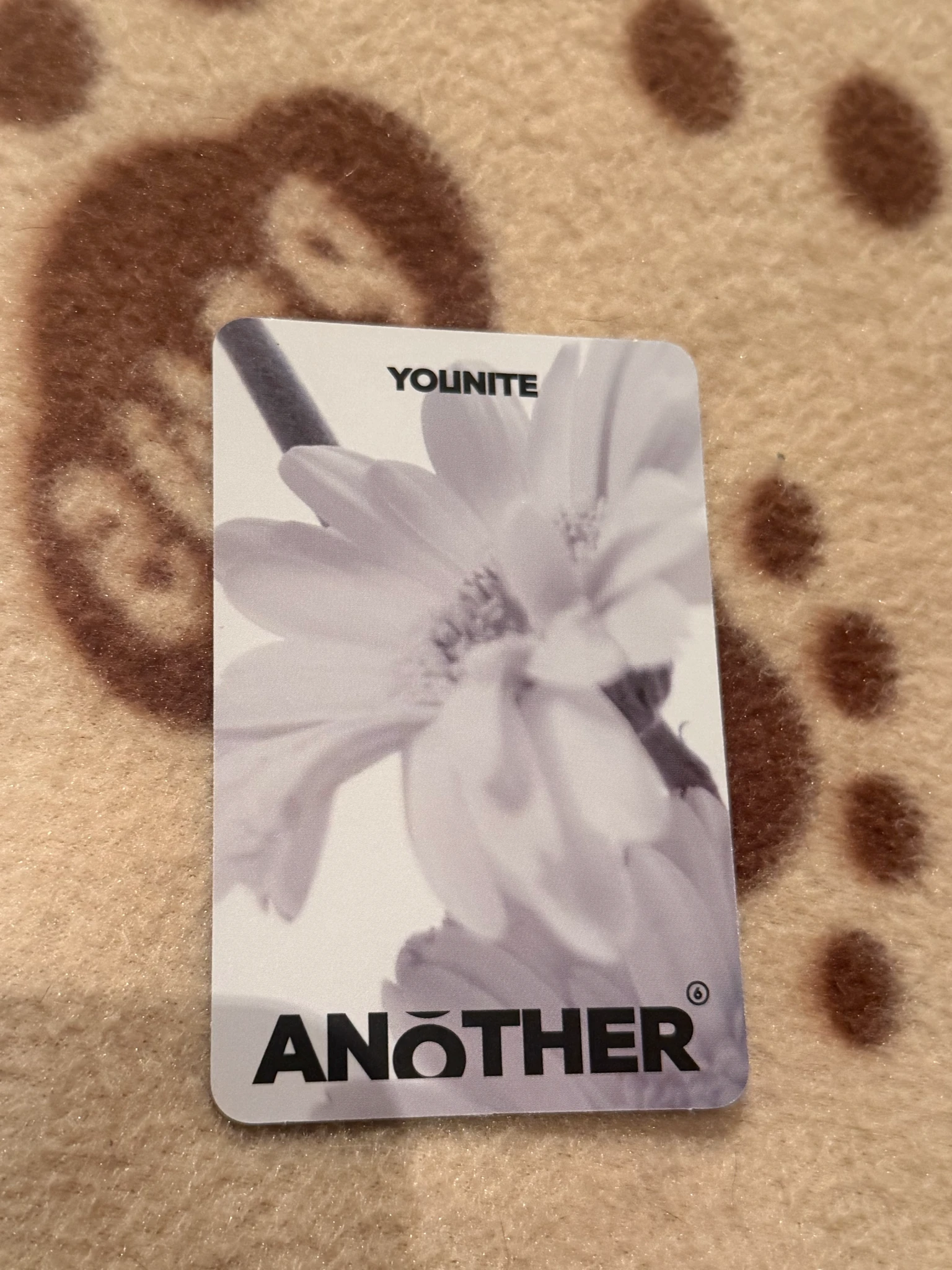 Younite Kyungmun Younite - Kyungmun - Another Album poca album album photocard bloom version listing photo 2