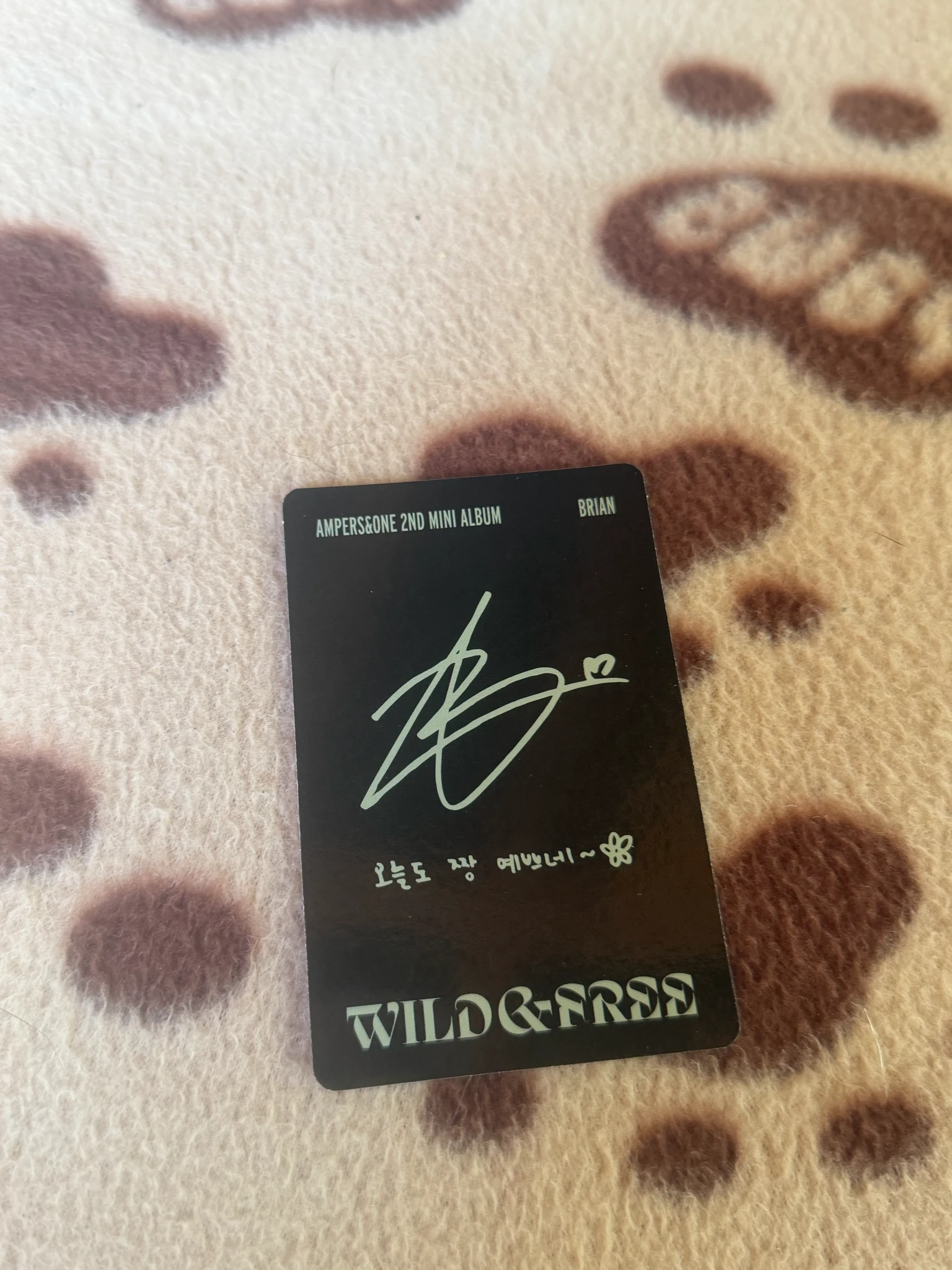 AMPERS&ONE Brian AMPERS&ONE - Brian - WILD & FREE Album album photocard start version listing photo 2