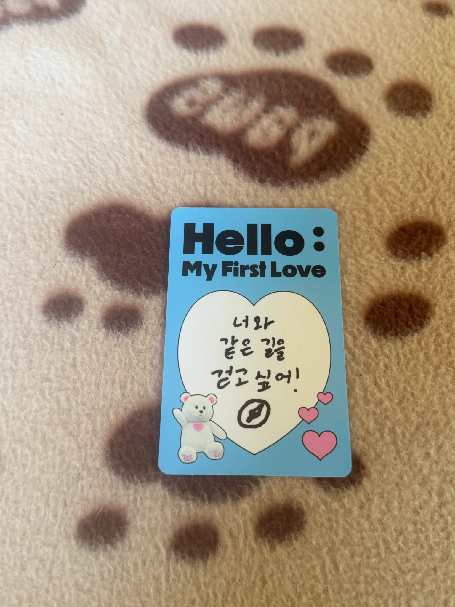 The Wind An Chanwon The Wind - An Chanwon - Hello : My First Love Album album photocard boy version C version listing photo 2