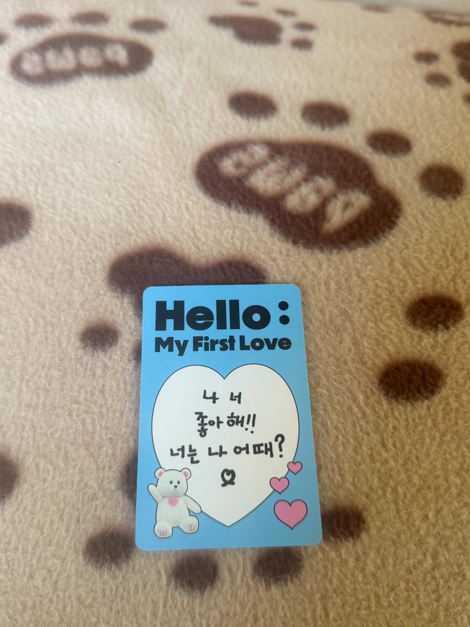 The Wind Jang Hyounjoon The Wind - Jang Hyounjoon - Hello : My First Love Album album photocard boy version C version listing photo 2