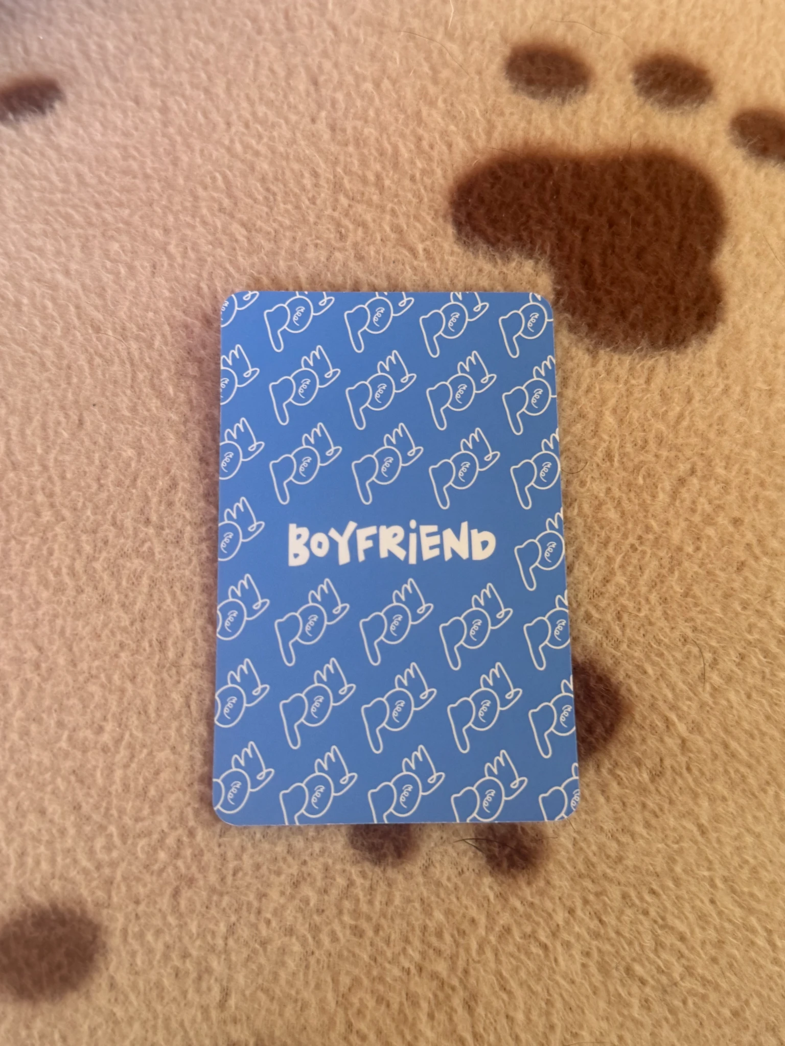 POW Hong POW - Hong - Boyfriend Album album photocard photocard set listing photo 2