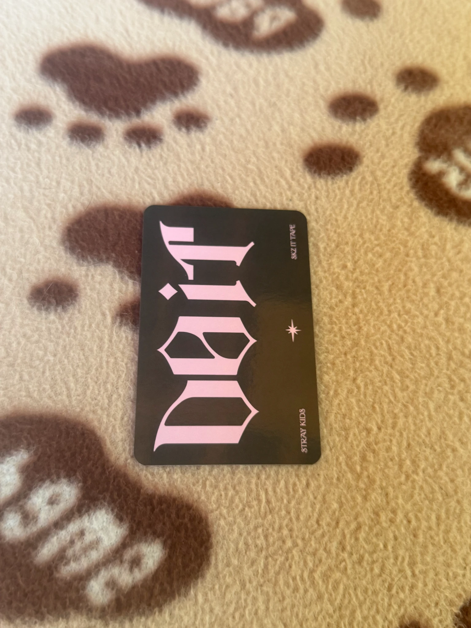Stray Kids Changbin Stray Kids - Changbin - Do It Album album photocard plve version platform version photocard set listing photo 2