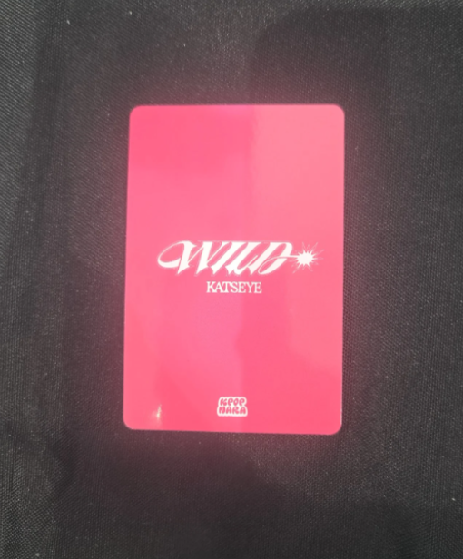 KATSEYE Lara KATSEYE - Lara - THE WILDWORLD TOUR Event kpop nara lucky draw (LD) listing photo 2