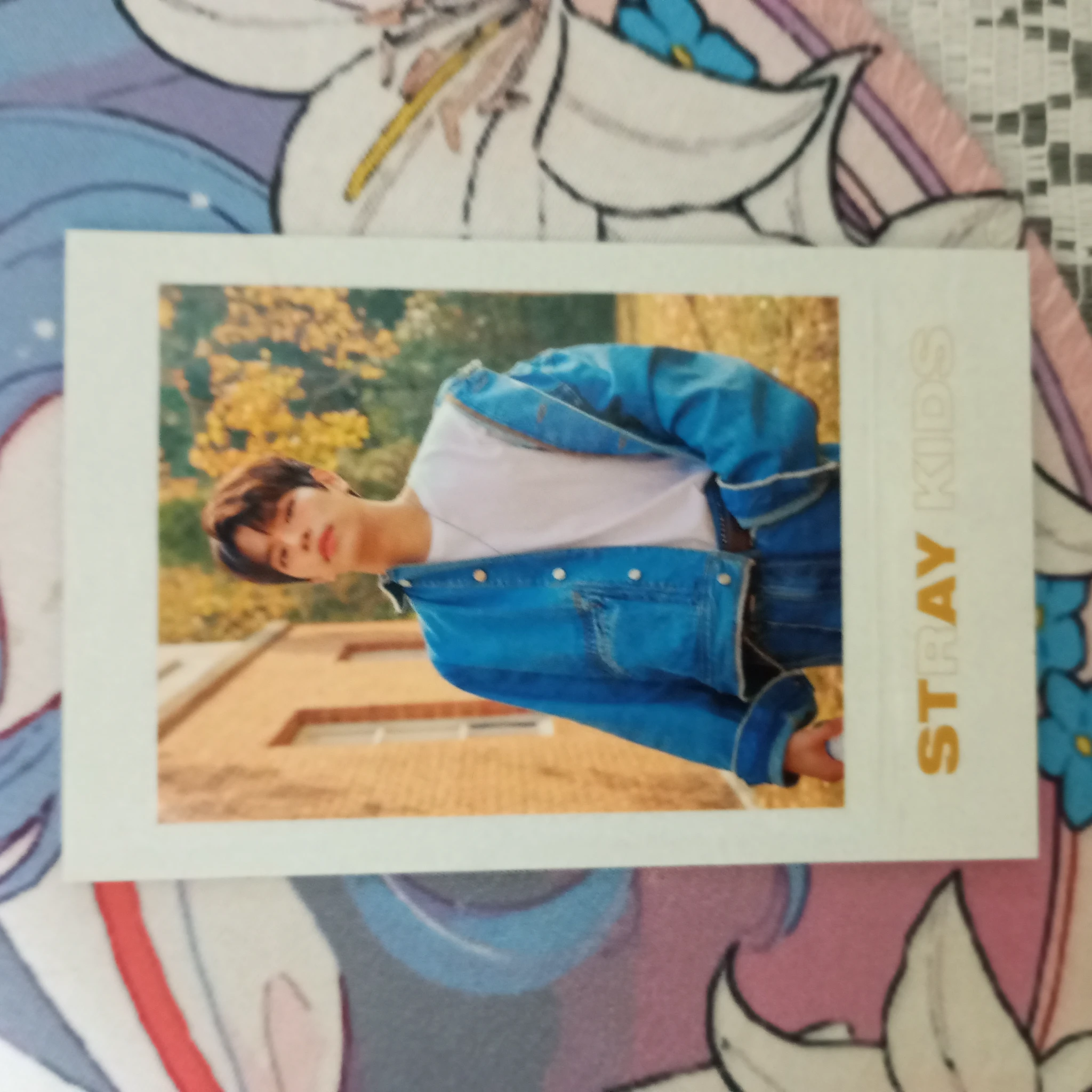 Stray Kids Seungmin Stray Kids - Seungmin - Unlock : GO LIVE IN LIFE Event merch photocard polaroid set polaroid listing photo 3
