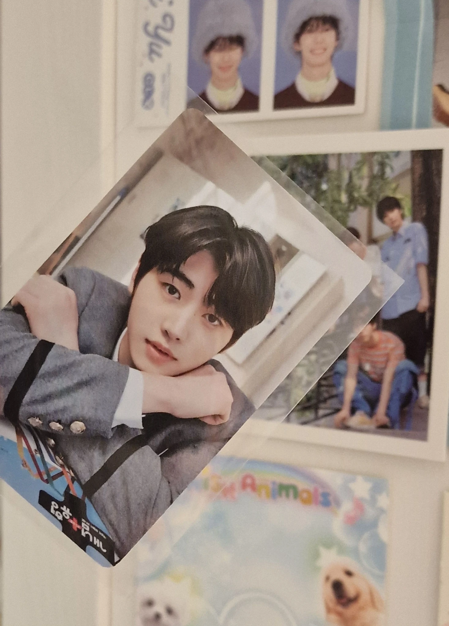 ENHYPEN Sunghoon ENHYPEN - Sunghoon - 2021 GGU GGU Package Other photocard set listing photo 3
