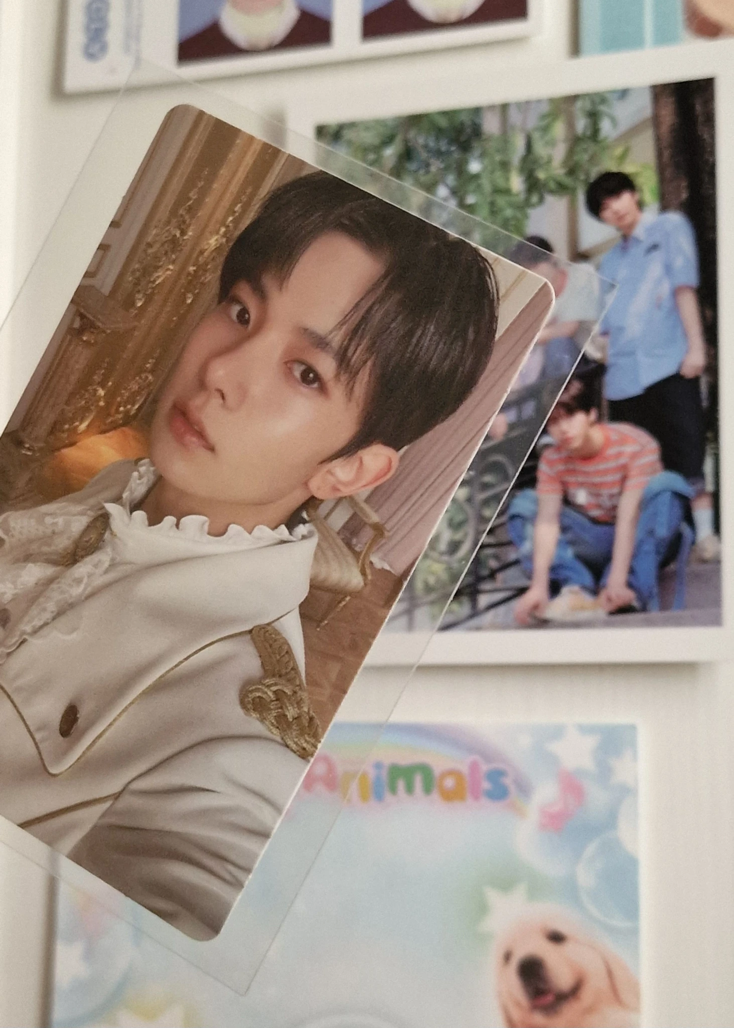 ENHYPEN Evan (Heeseung) ENHYPEN - Heeseung - BORDER: CARNIVAL Album up version album photocard korean album listing photo 3