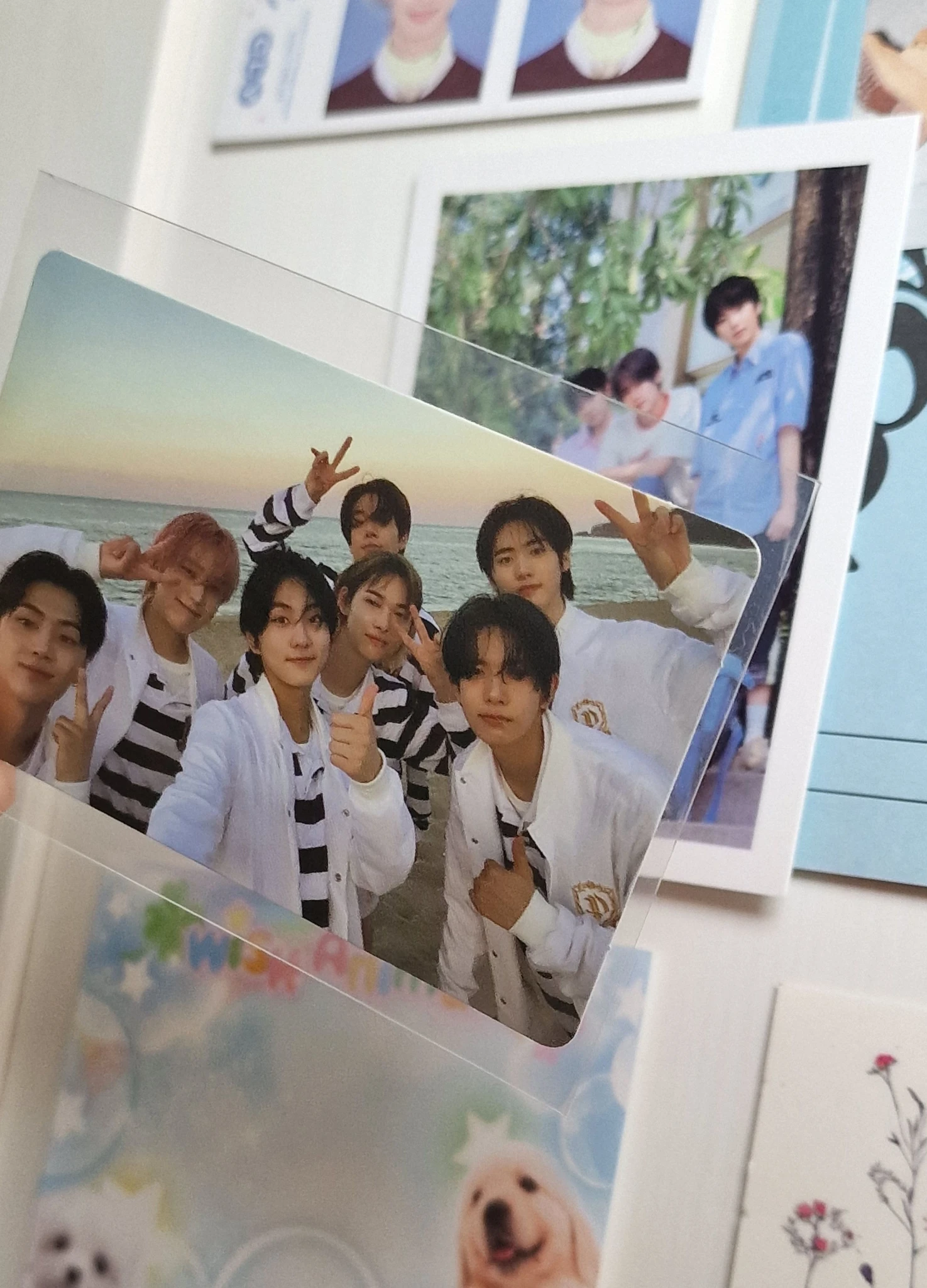 ENHYPEN ENHYPEN - DIMENSION: DILEMMA Album album photocard listing photo 3