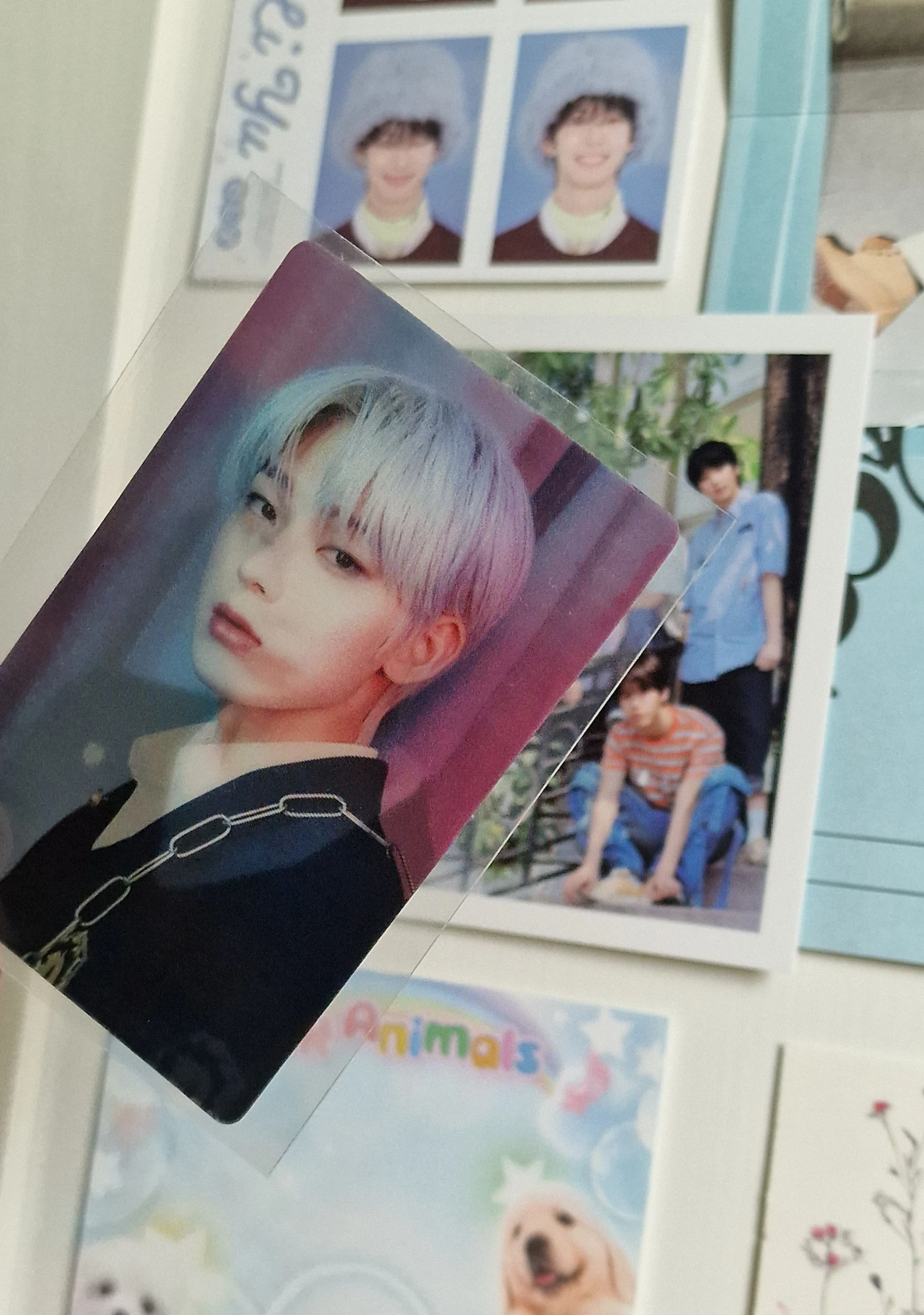 ENHYPEN Sunoo ENHYPEN - Sunoo - BORDER: CARNIVAL Album album photocard korean album hype version lenticular listing photo 3