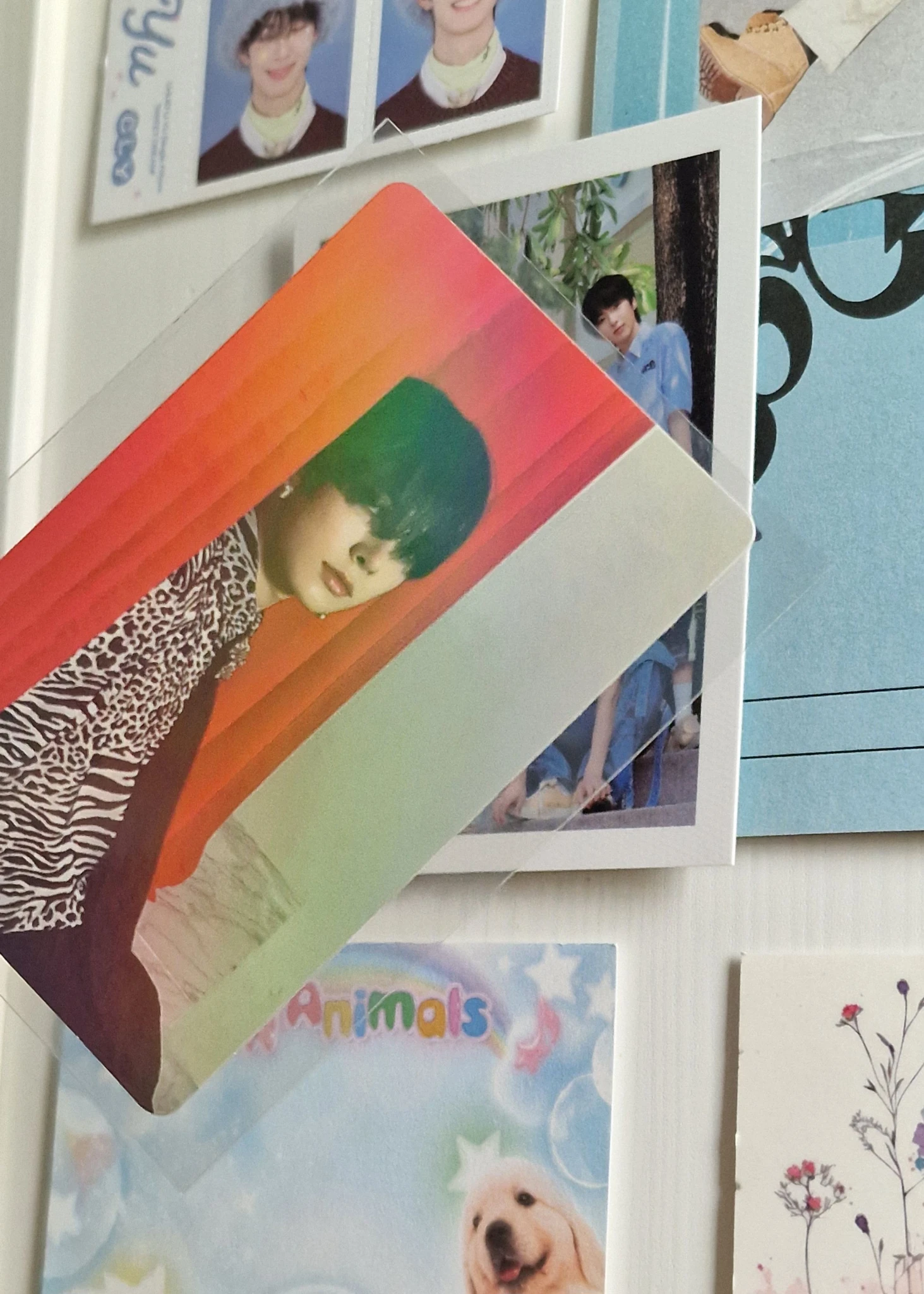 ENHYPEN Evan (Heeseung) ENHYPEN - Heeseung - DIMENSION: DILEMMA Album album photocard korean album scylla version holographic (hologram) listing photo 3
