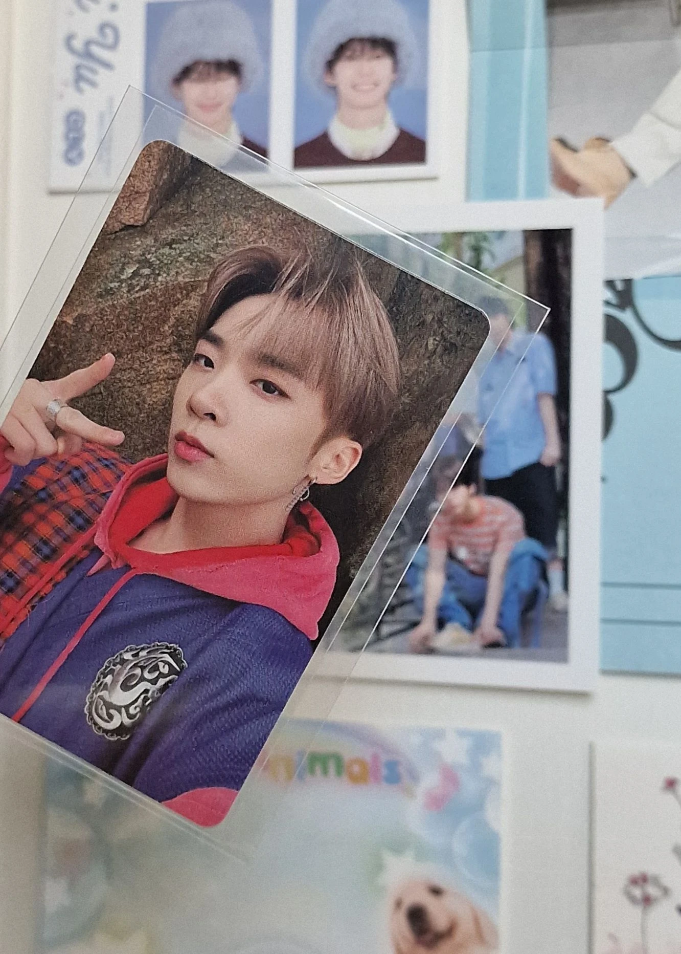 MCND Castle J MCND - Castle J - ODD-VENTURE Album album photocard listing photo 3