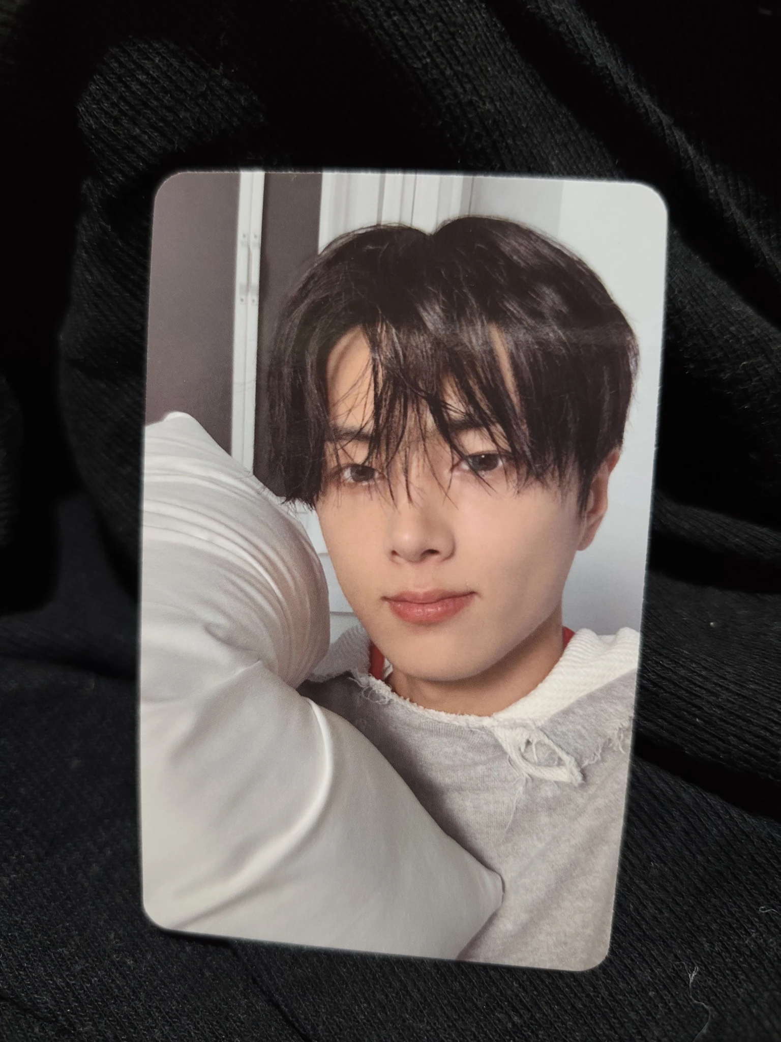 ENHYPEN Jay ENHYPEN - Jay - ROMANCE: UNTOLD-DAYDREAM- Album blue noon version album photocard listing photo 3