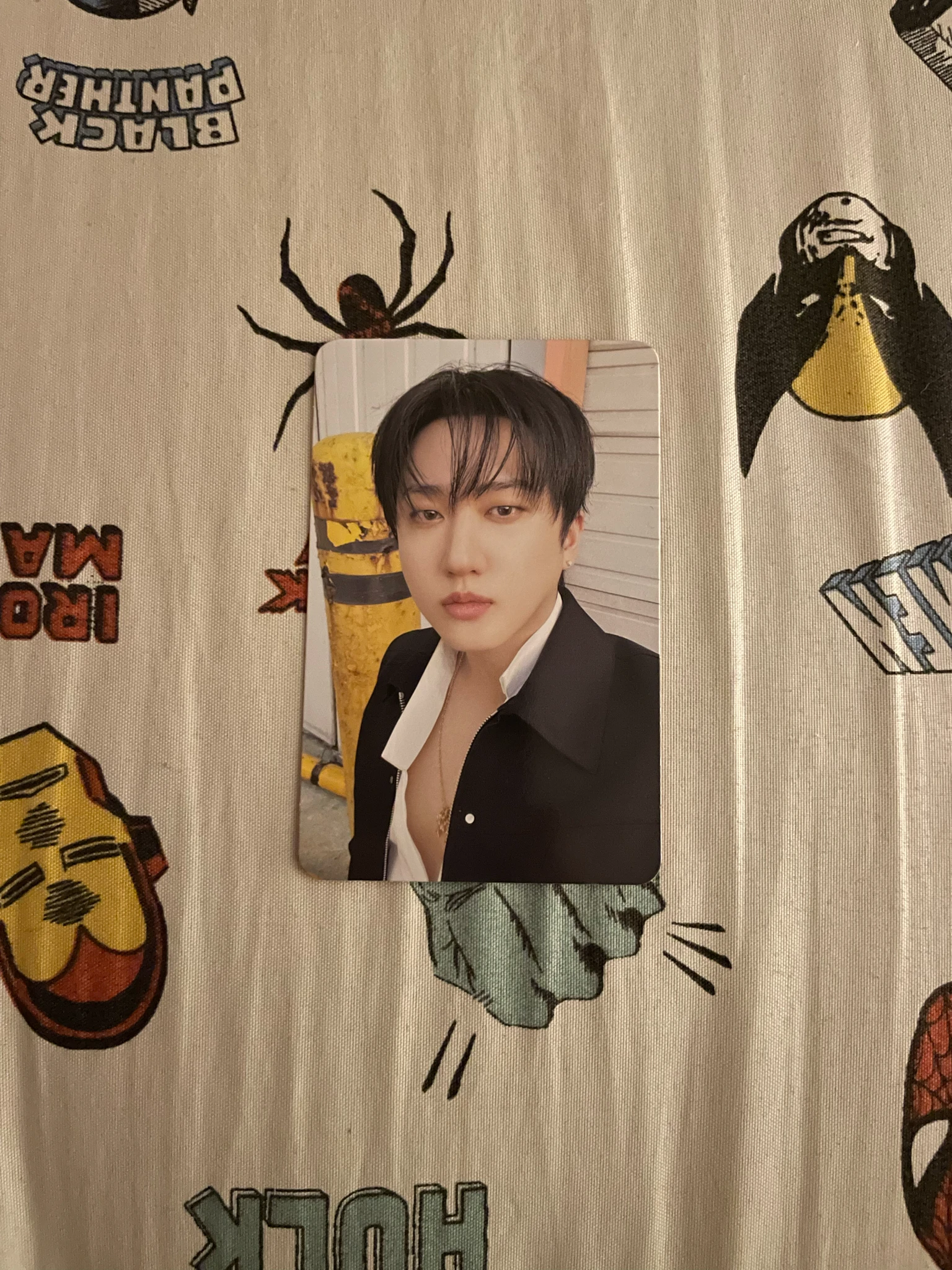 Stray Kids Changbin Stray Kids - Changbin - THIS & THAT Album album photocard fans album version random photocard platform listing photo 3