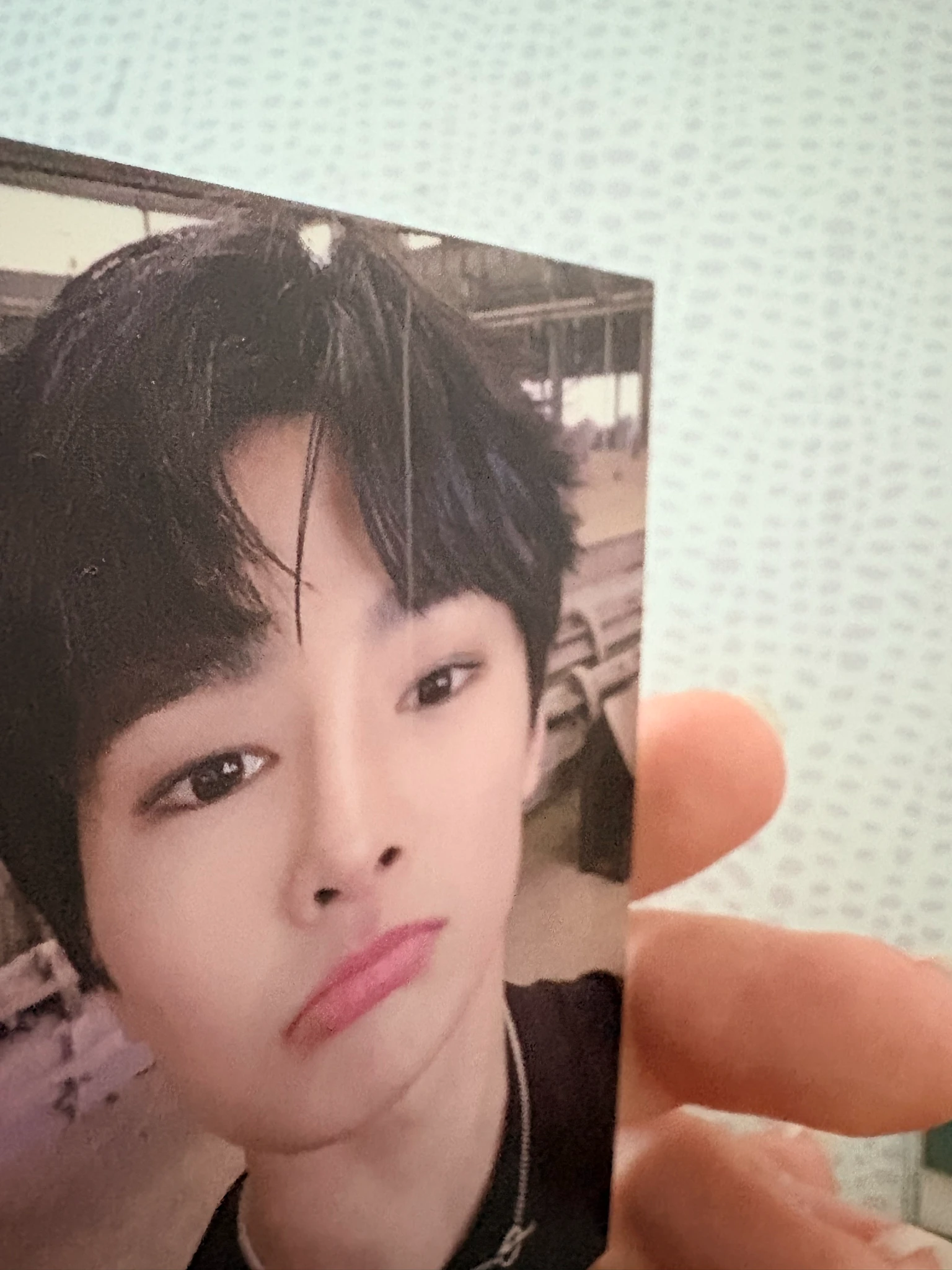 Stray Kids I.N Stray Kids - I.N - I am NOT Album album photocard selfie version listing photo 3