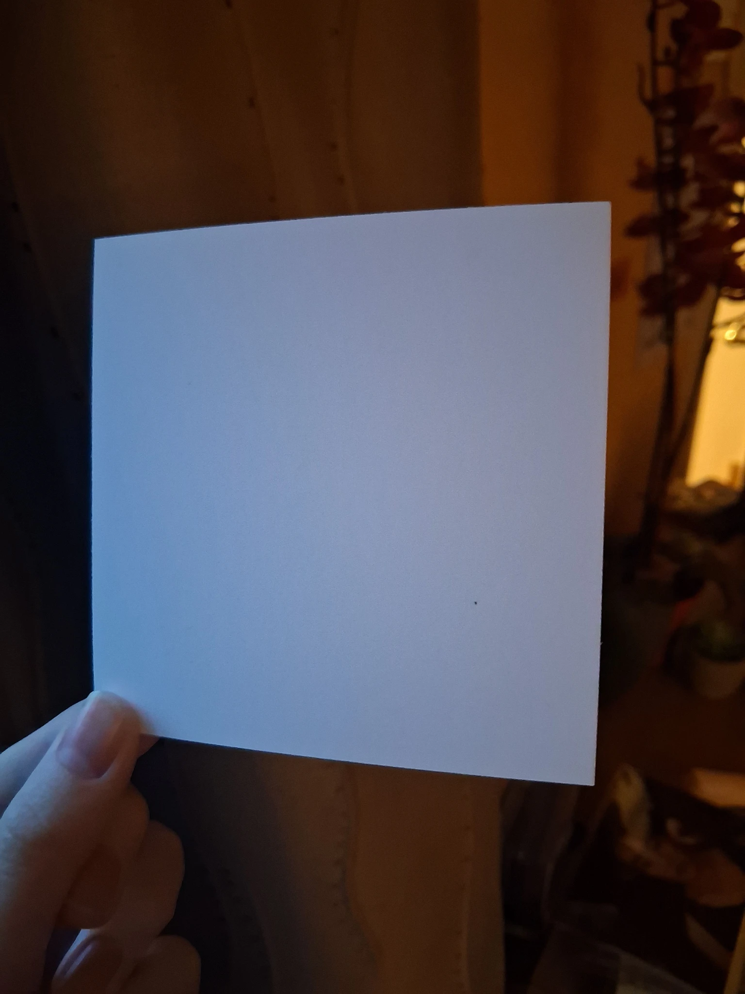 BTS Jin BTS - Jin - The Most Beautiful Moment in Life Pt.1 Album album photocard non-standard size listing photo 3